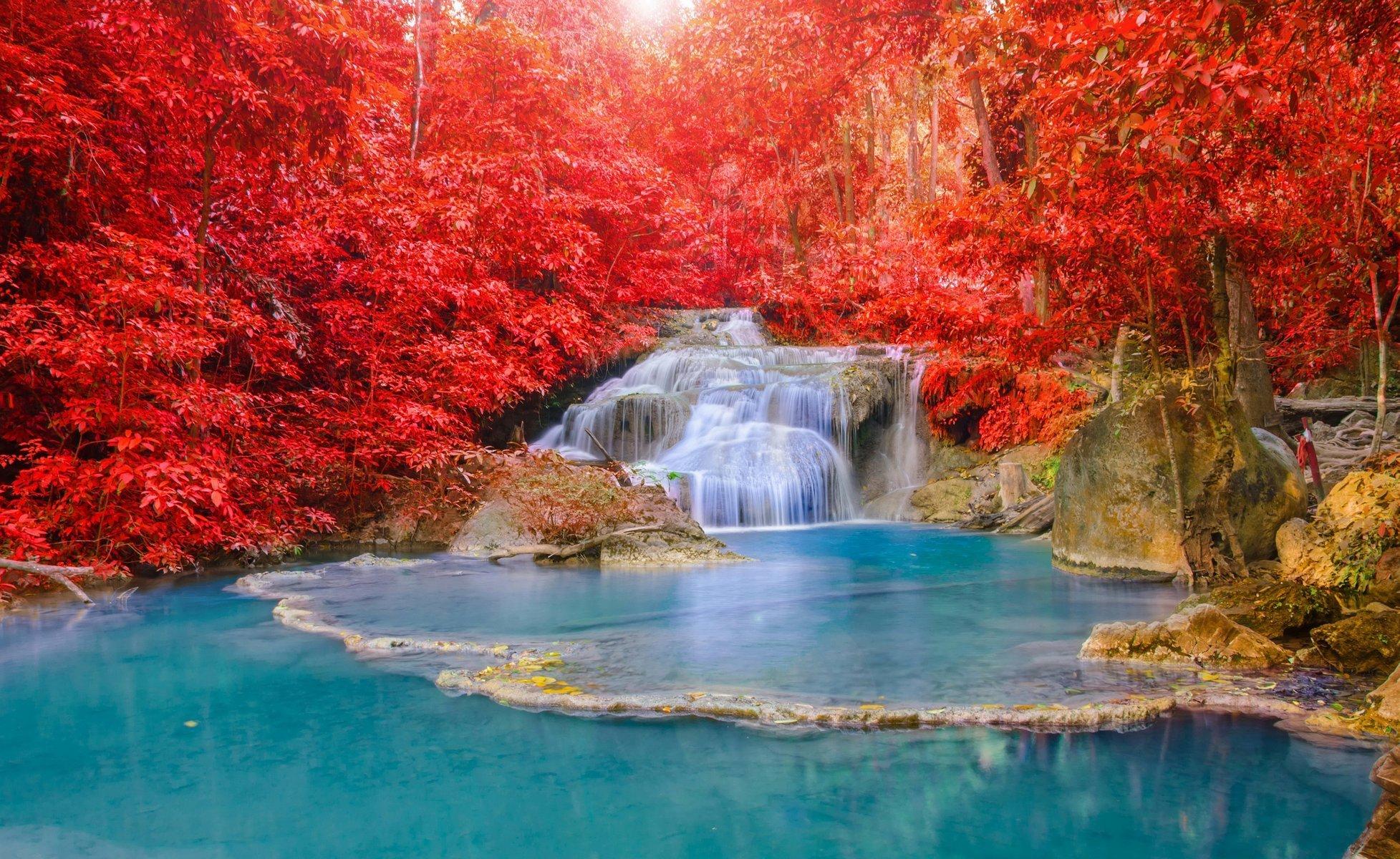 Wallpaper Beautiful autumn forest river landscape 1920x1200