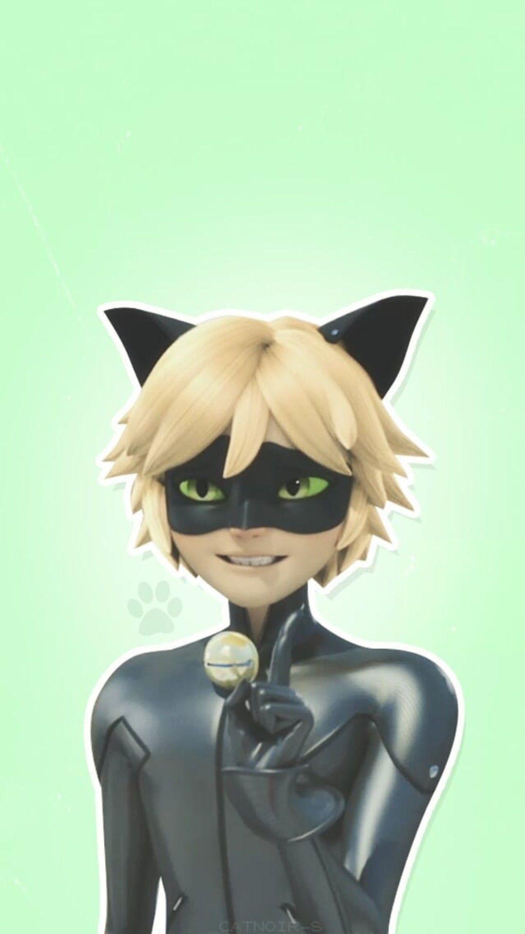 Aesthetic Chat Noir Wallpapers Wallpaper Cave