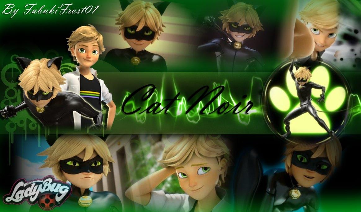 Best Miraculous Ladybug And Cat Noir Wallpaper Noir