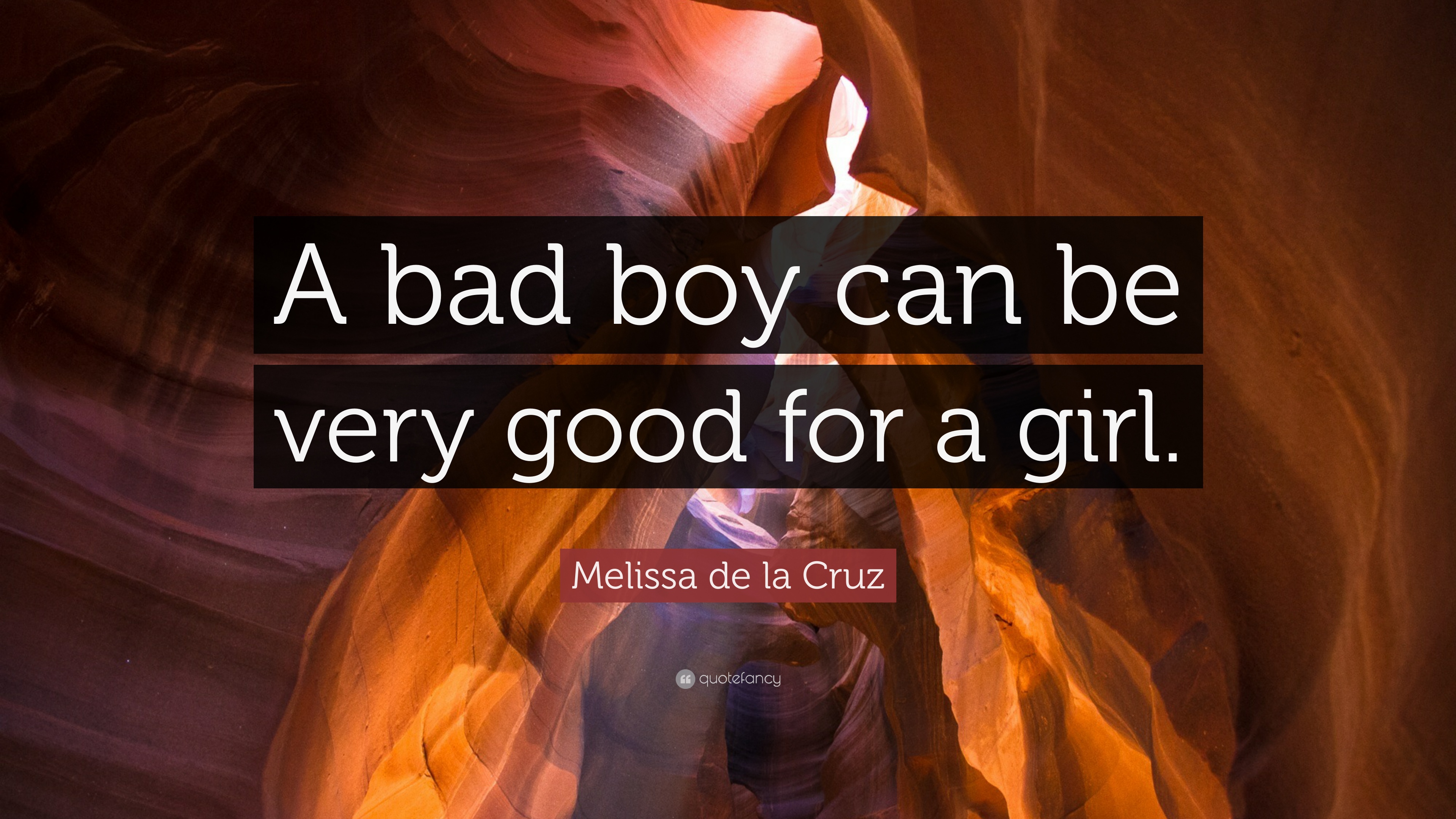 Melissa de la Cruz Quote: “A bad boy can be very good for a girl