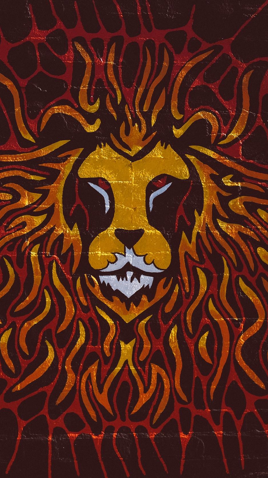 Lion, art, wall, graffiti wallpaper, background iphone