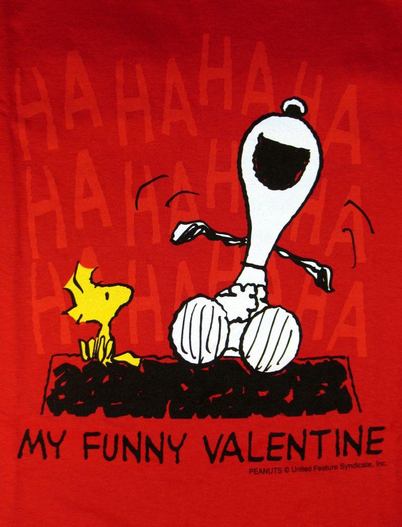 Snoopy Valentine Wallpaper 59 images
