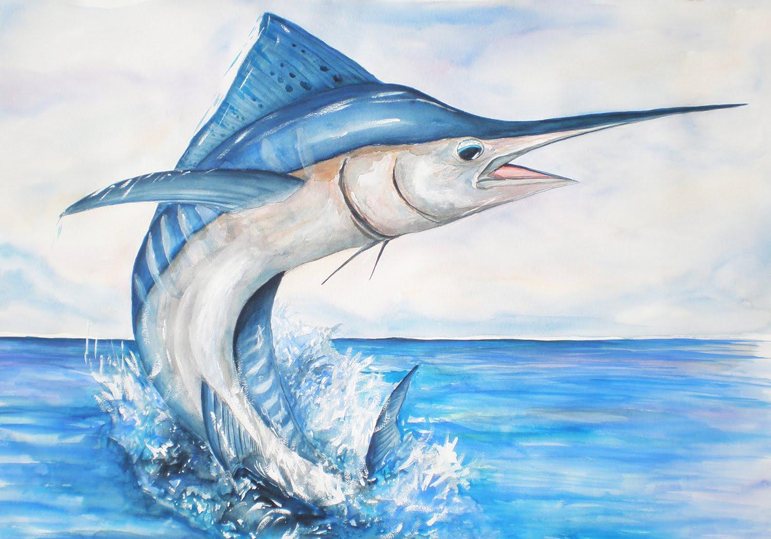 Blue Marlin Fish Wallpaper