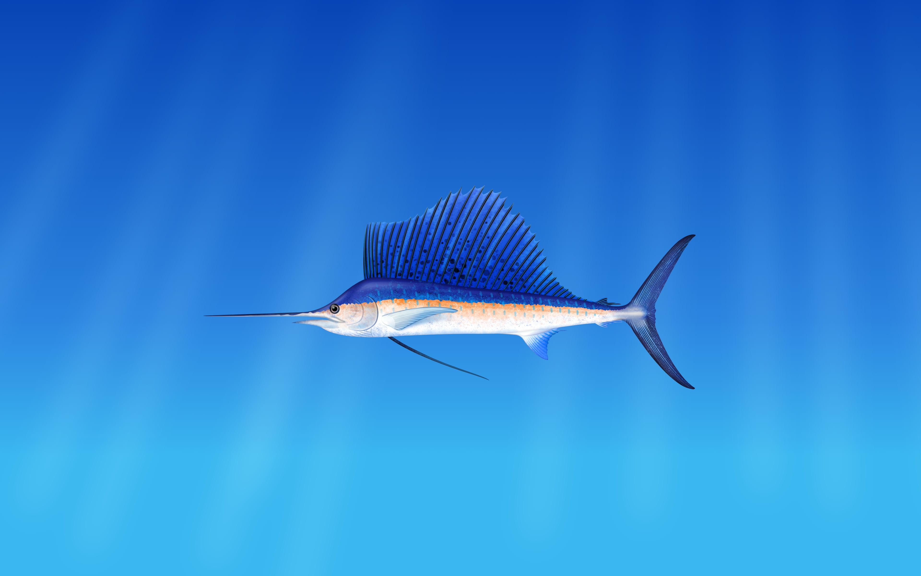 Blue marlin fish graphic wallpaper HD wallpaper