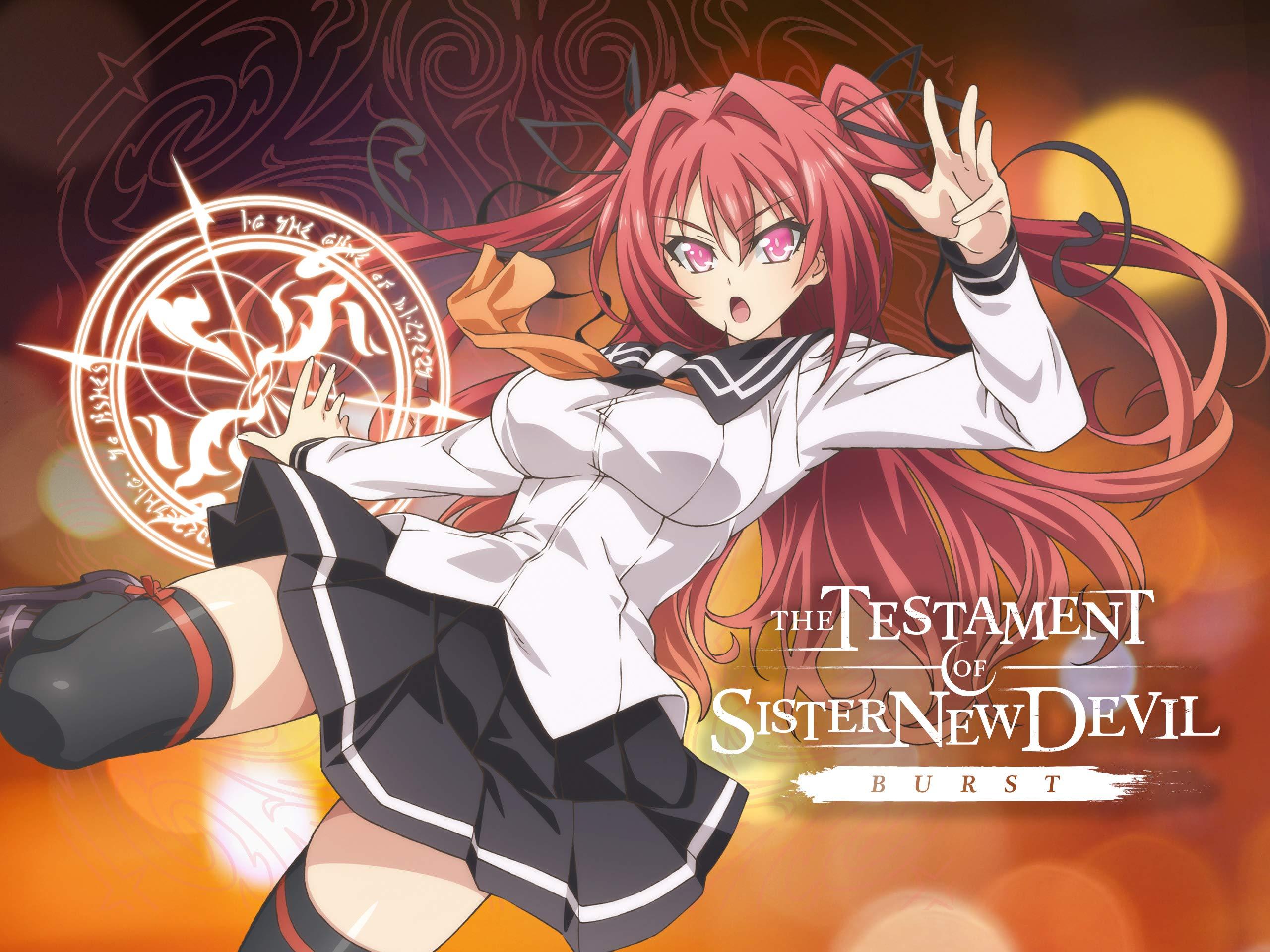 The Testament of Sister New Devil - wide 3