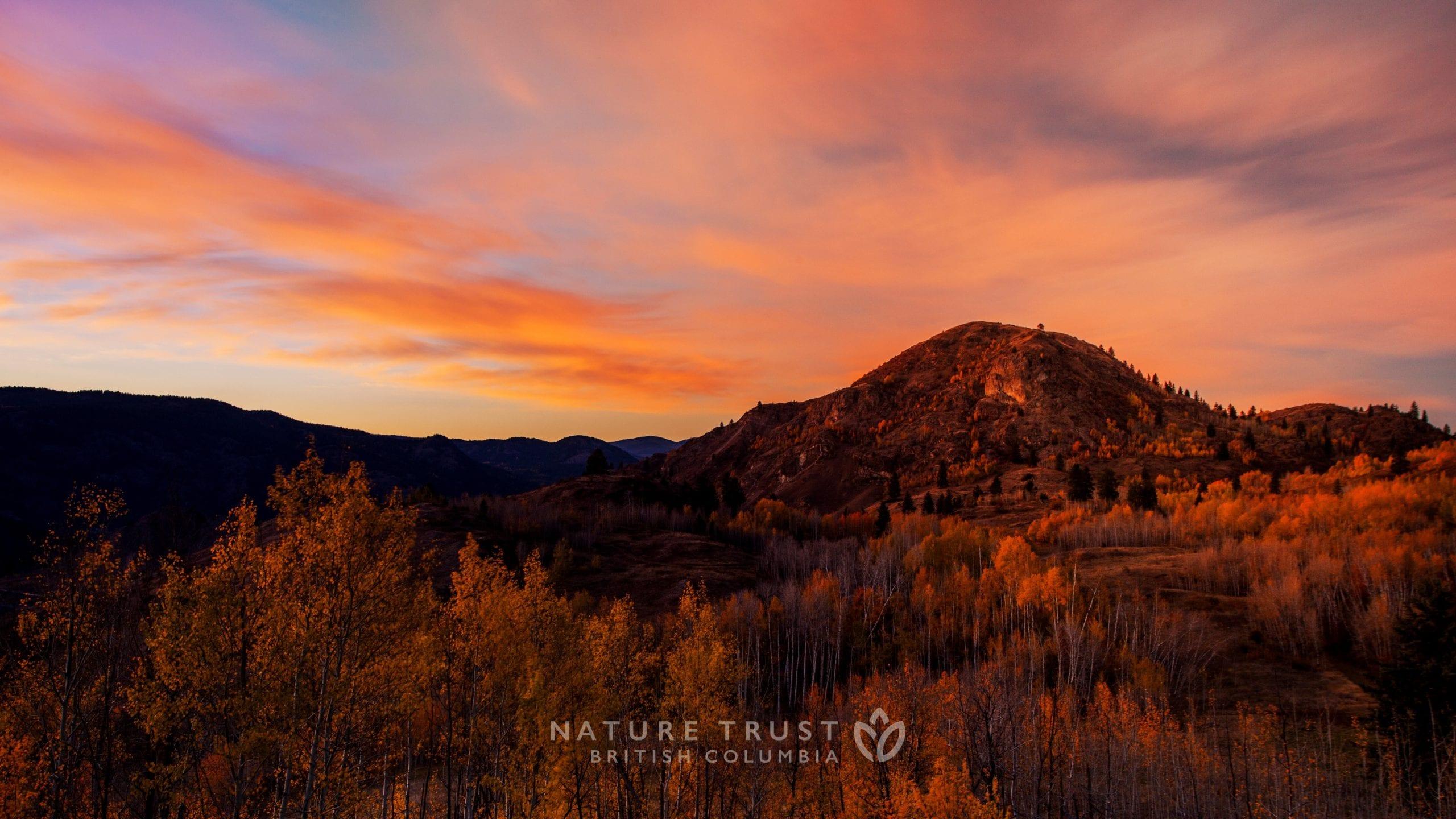 Nature Landscapes Wallpaper. The Nature Trust of British
