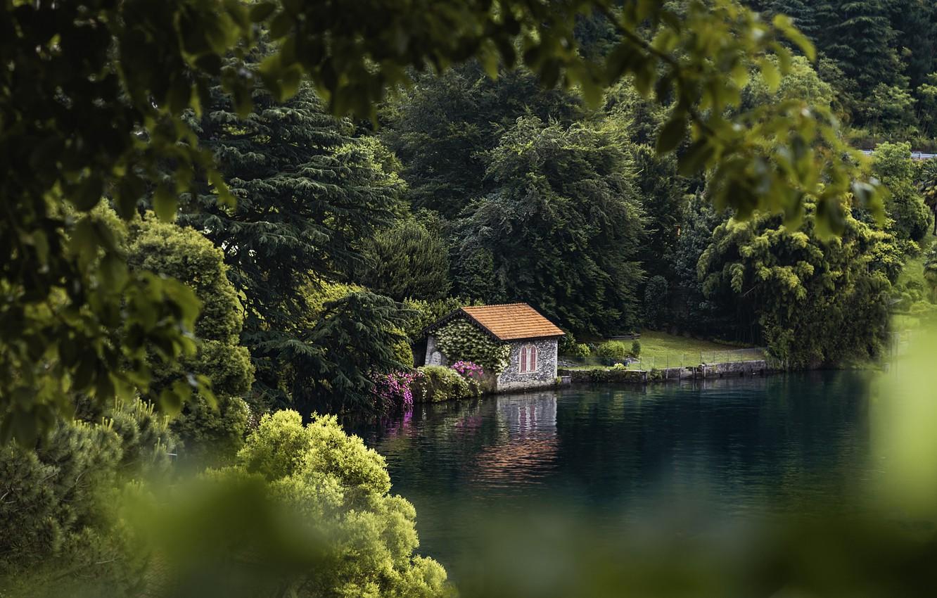 Wallpaper wallpaper, house, trees, water, flowers, lake
