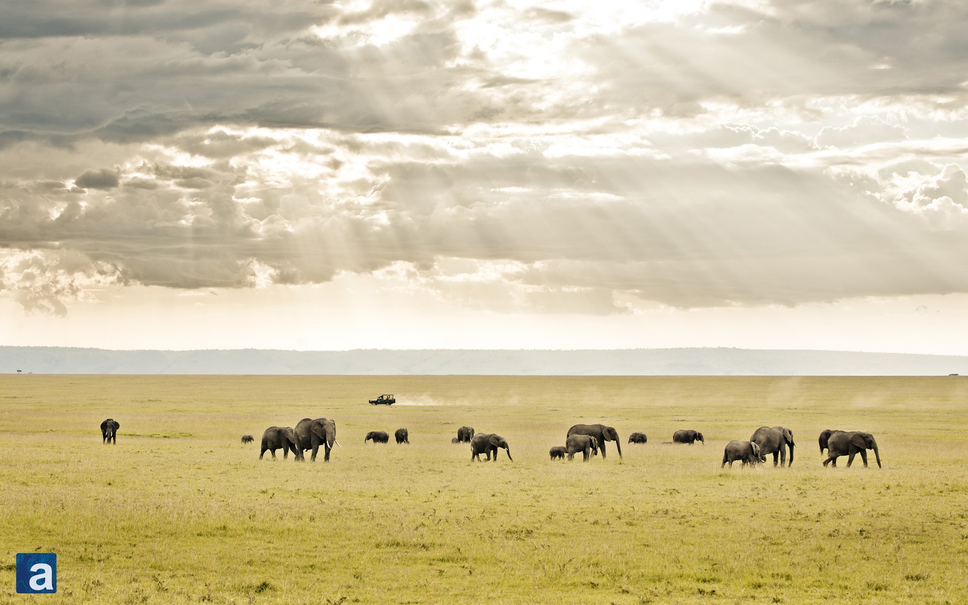 Masai Mara Wallpaper. Mara Jade
