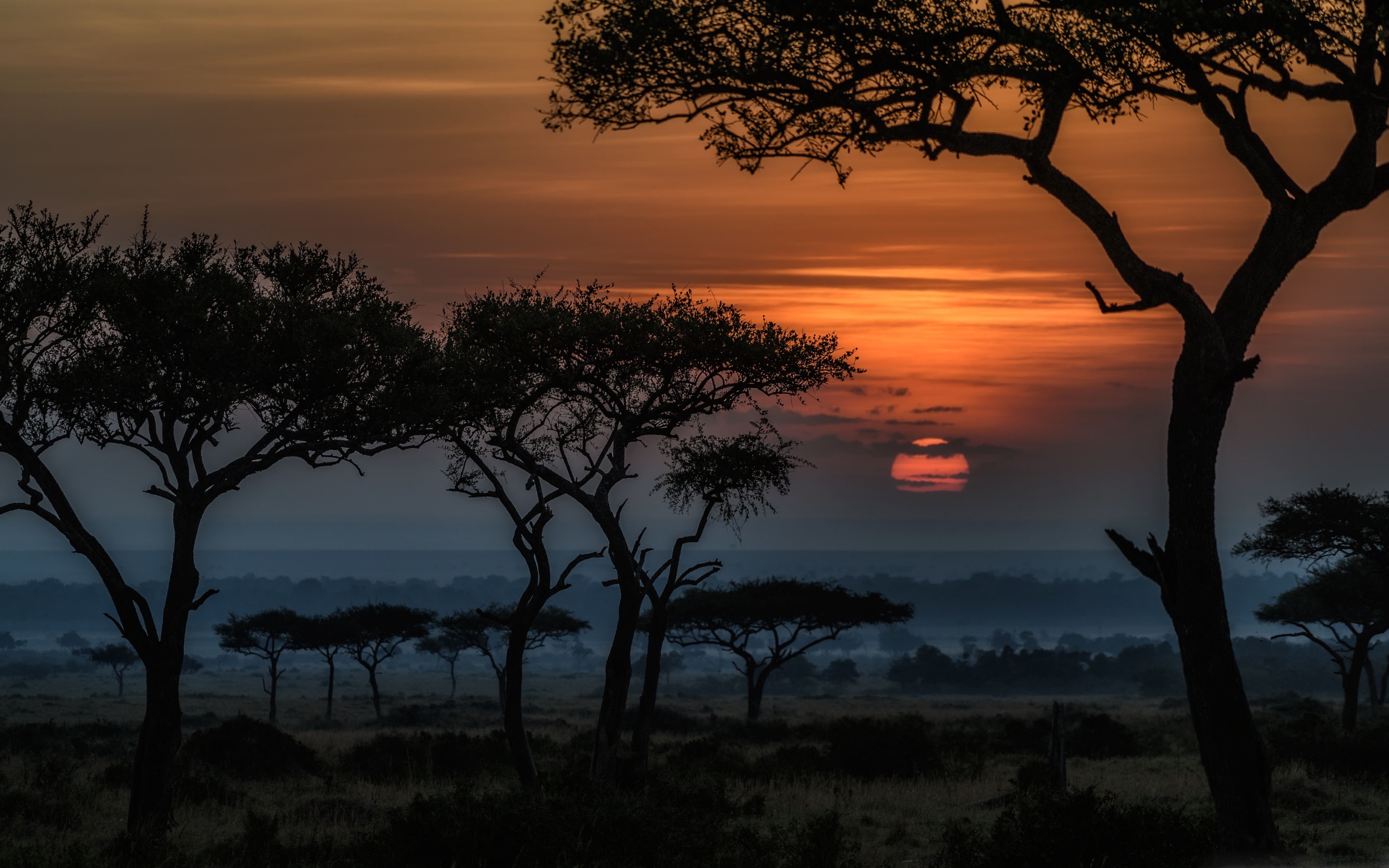 Sunrise In Masai Mara Kenya Africa Mac Wallpaper Download