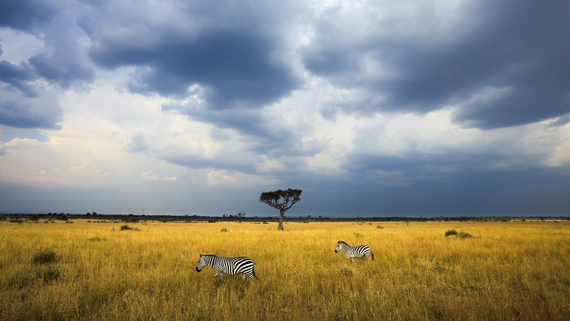 Maasai Mara Wallpapers Wallpaper Cave