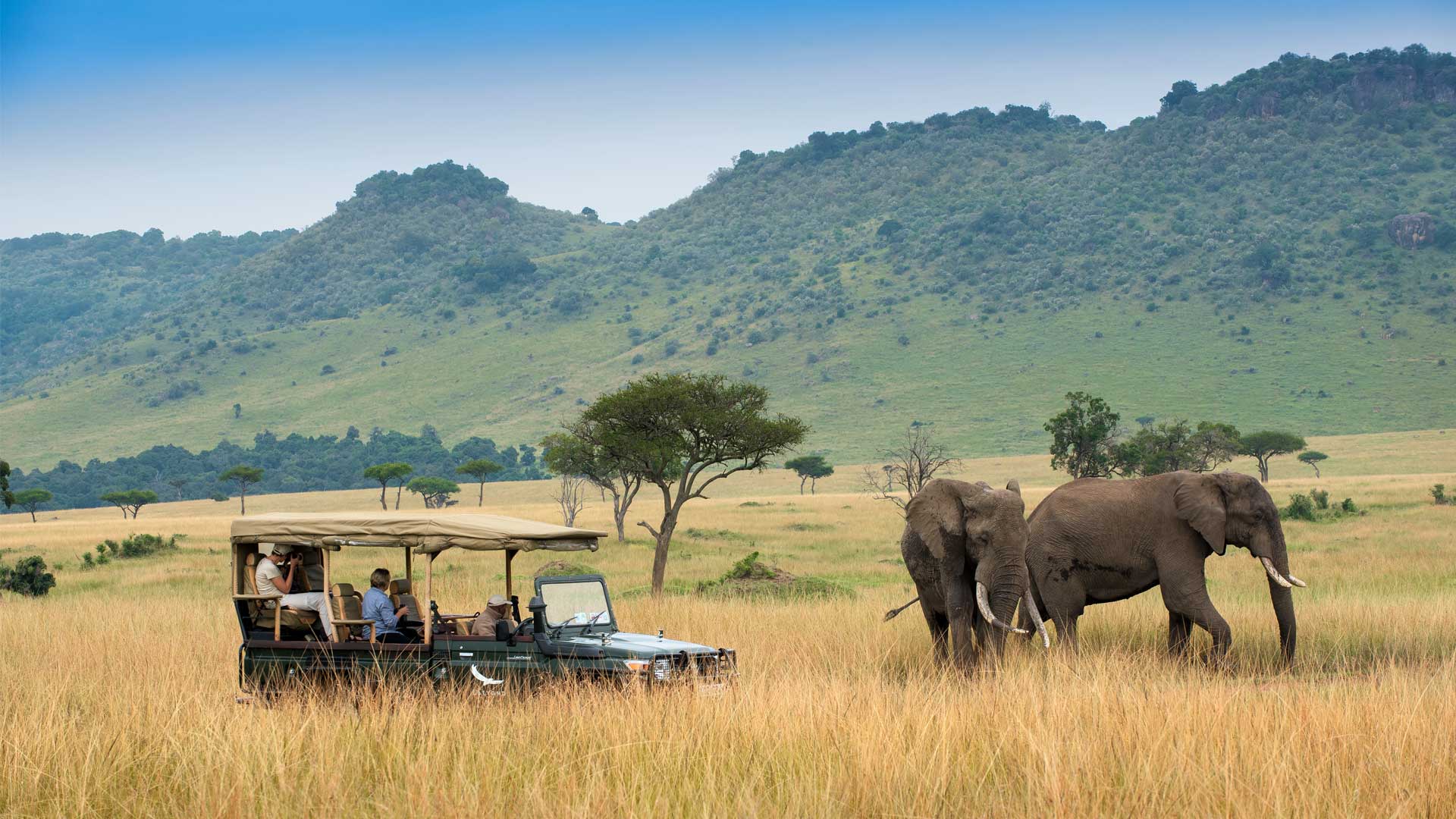 Explore the Best of Kenya on our 11 day tour
