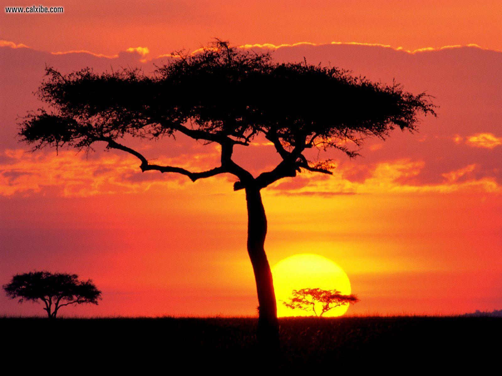 Nature: Masai Mara Game Reserve At Sunset Kenya, picture nr