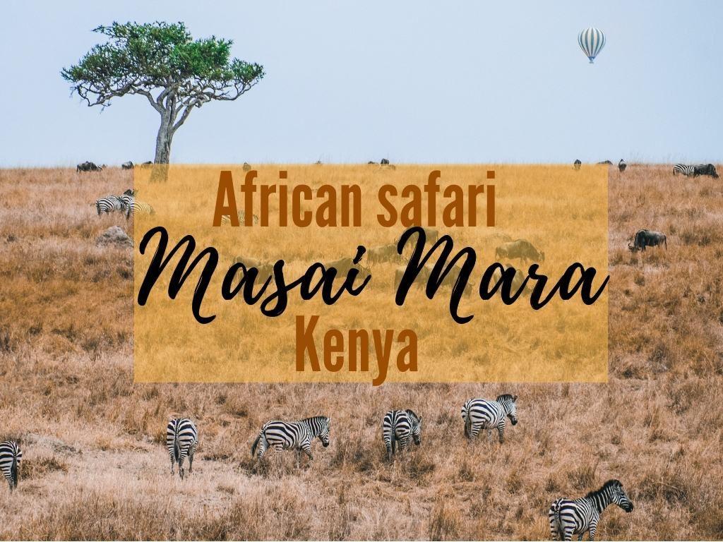 Amazing African Safari Animals during Great Migration