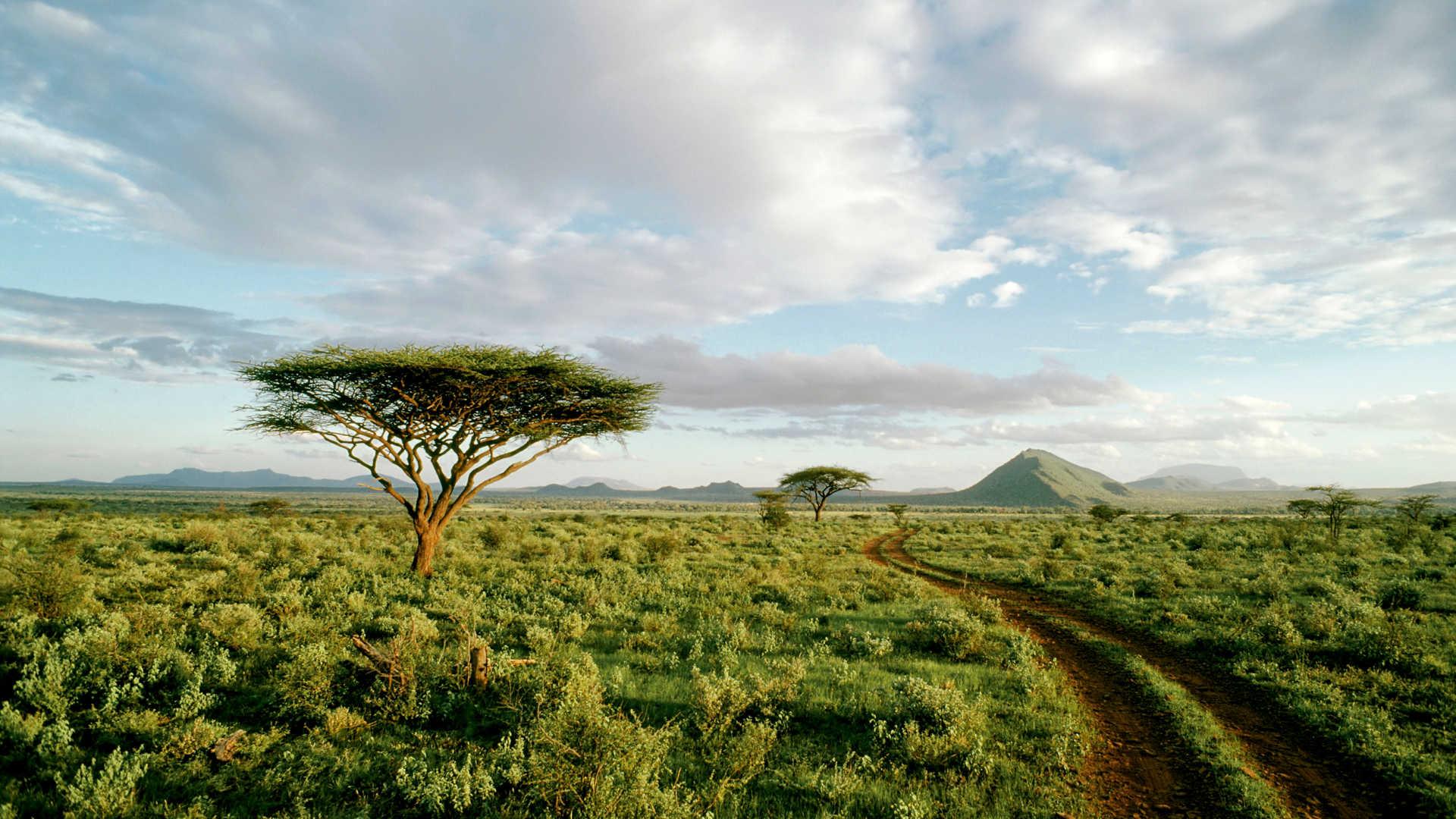 Sunrise in Masai Mara, Kenya, Africa 4K HD Desktop