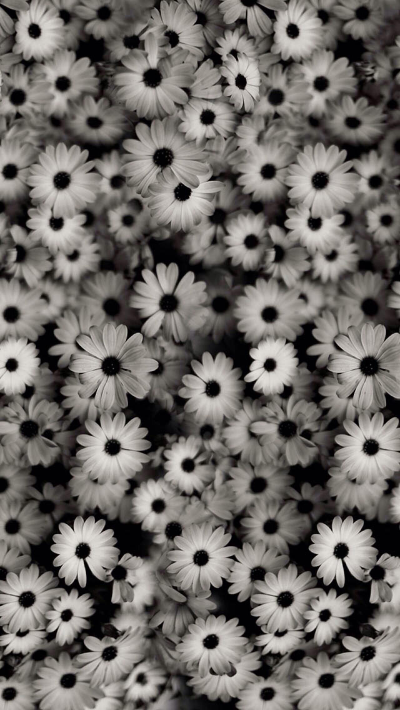 Flower Wallpaper Tumblr Black And White wengerluggagesave
