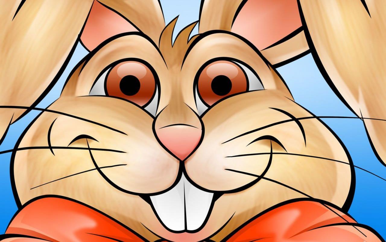 Funny bunny face wallpapers