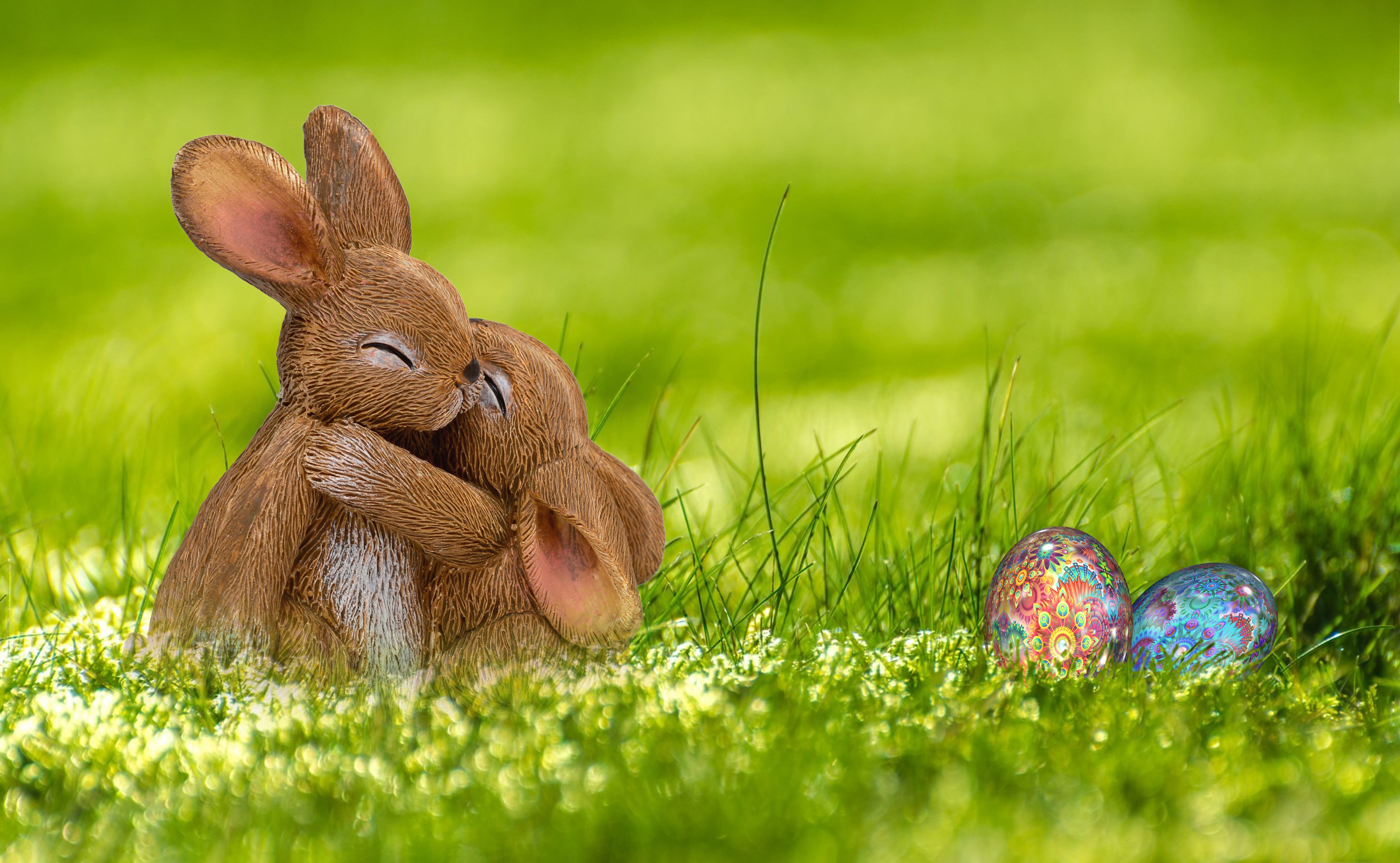 Easter Easter Bunny Hare Spring Wallpapers and Free.