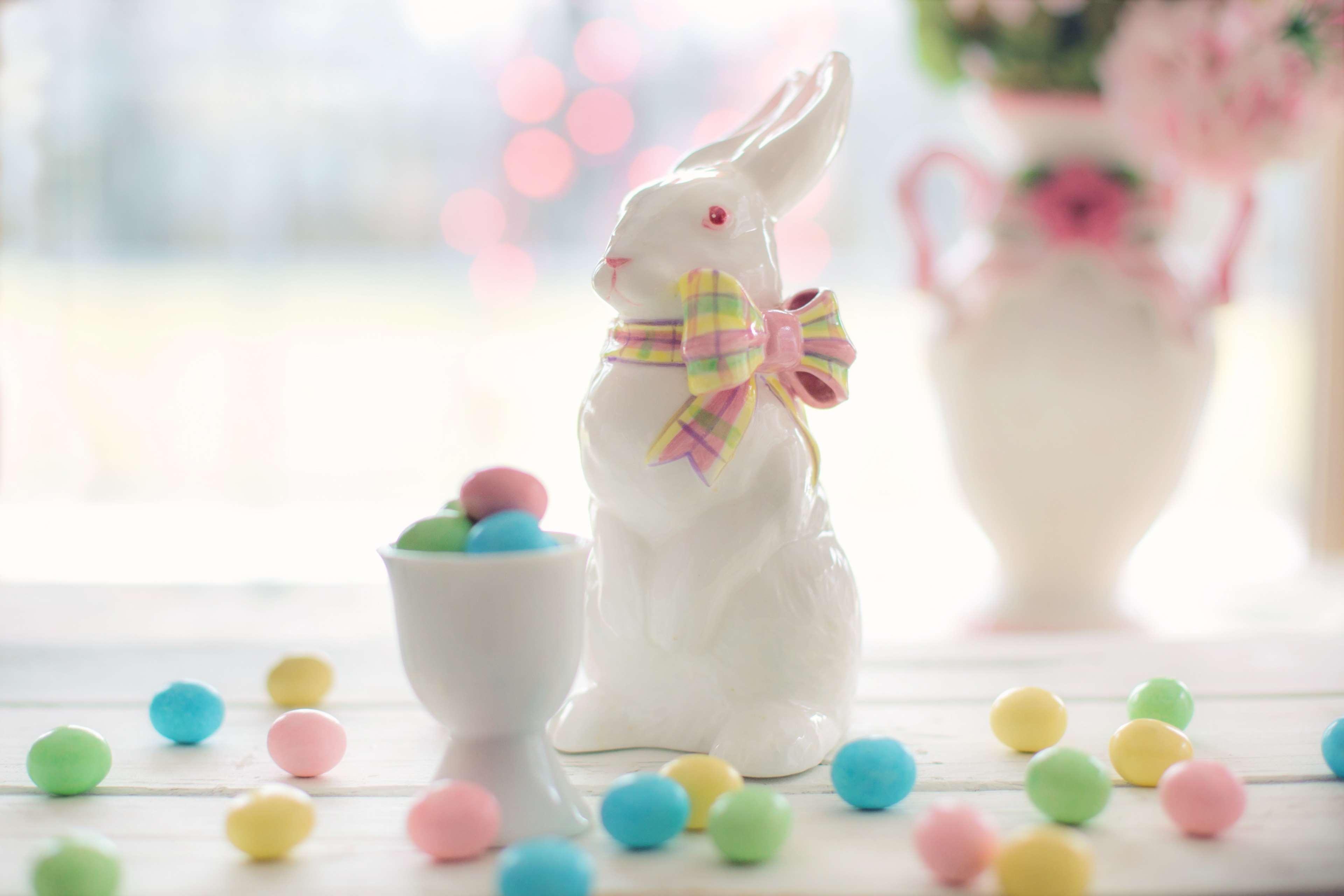 bunny, candy, celebration, chocolate, color, colorful