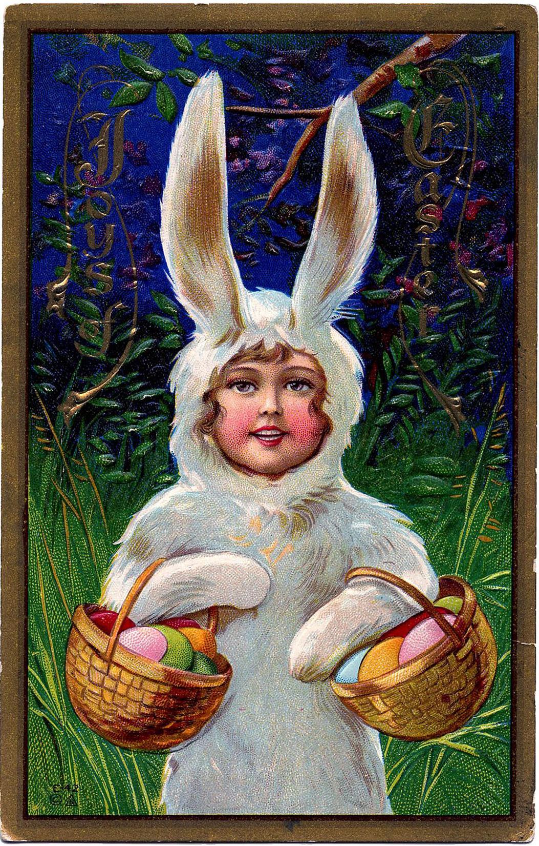 Easter Bunny Image Free