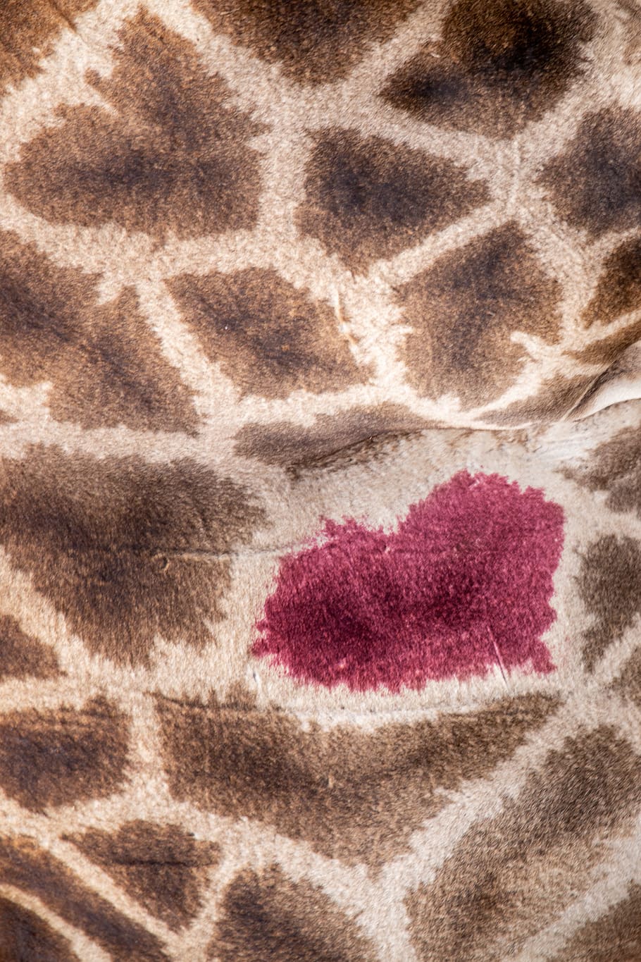 pattern, heart, love, giraffe, background, texture