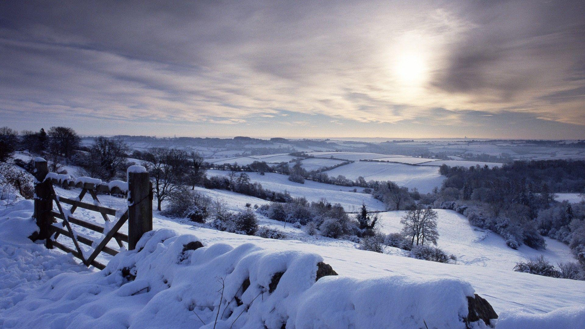 Photo. Winter landscape