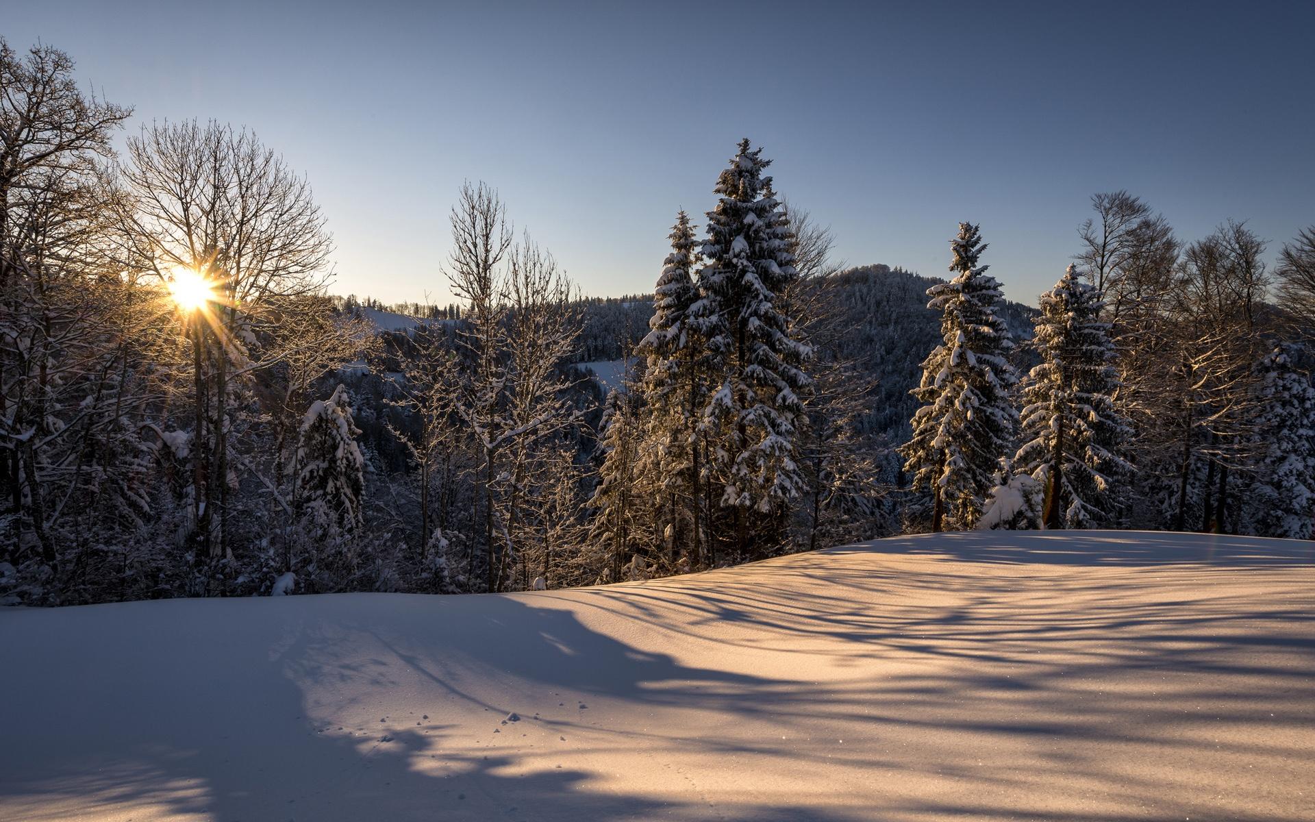 Winter rural landscape with forest, sun and snow