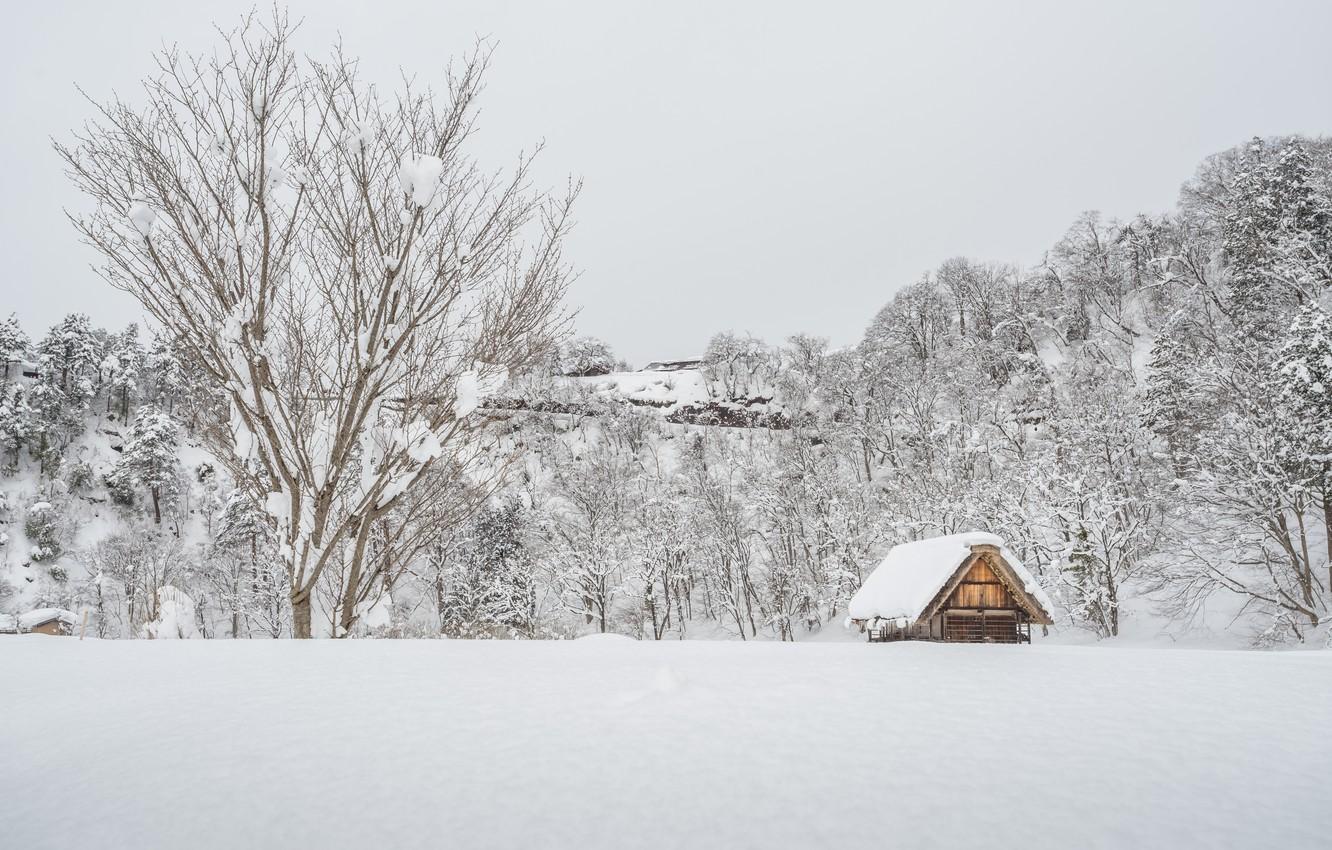 Wallpaper winter, snow, trees, landscape, winter, house, hut