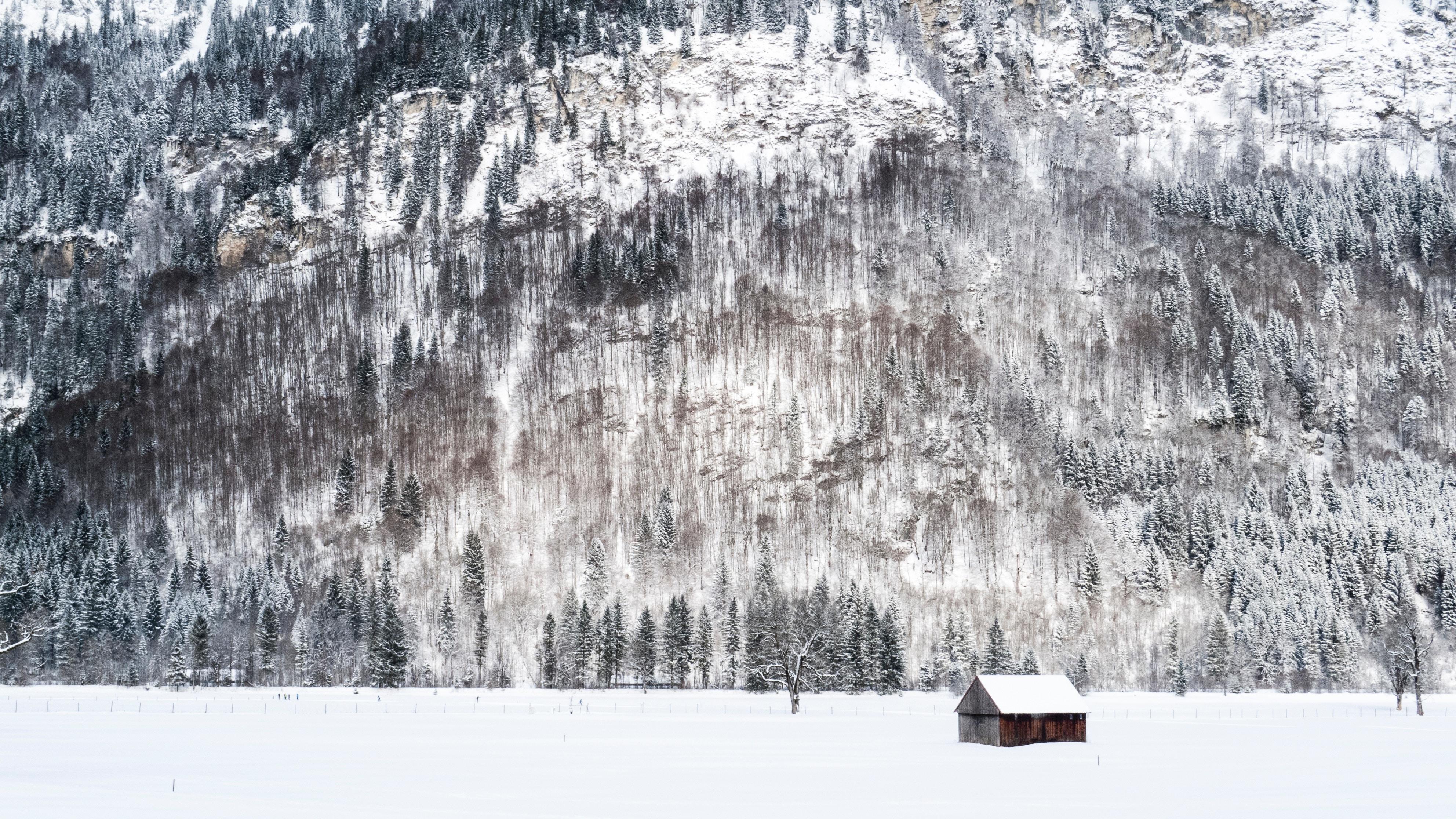 3968x2232 #frozen, #mountain, #barn, #snowy, #shack