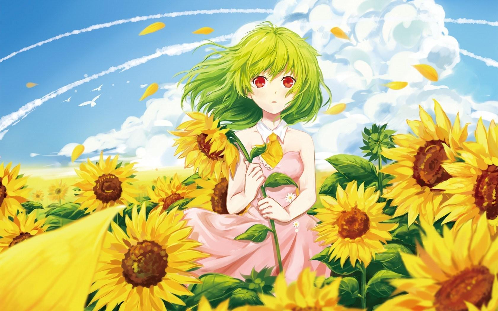 Girl Sunflowers Summer Anime wallpaperx1050