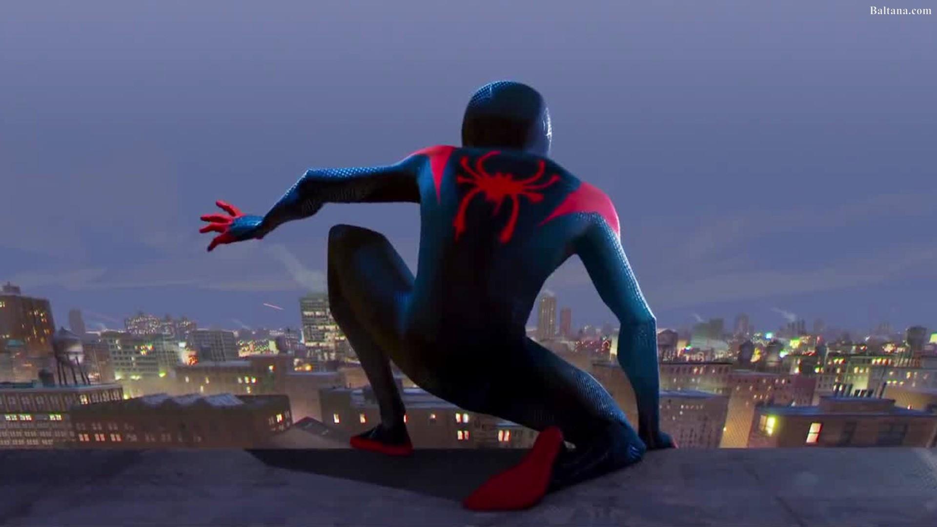 Spiderman Into The Spider Verse Animated Movie Background