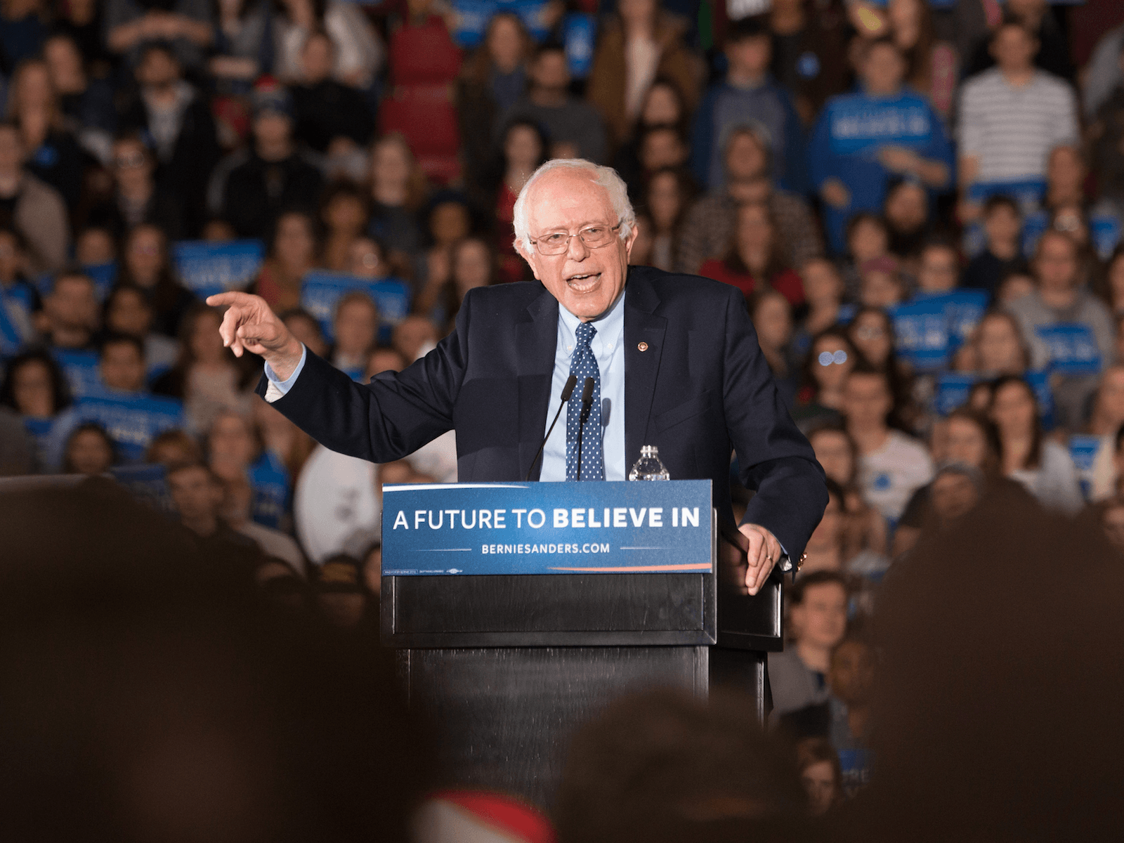 Bernie Sanders 2020 Wallpapers - Wallpaper Cave