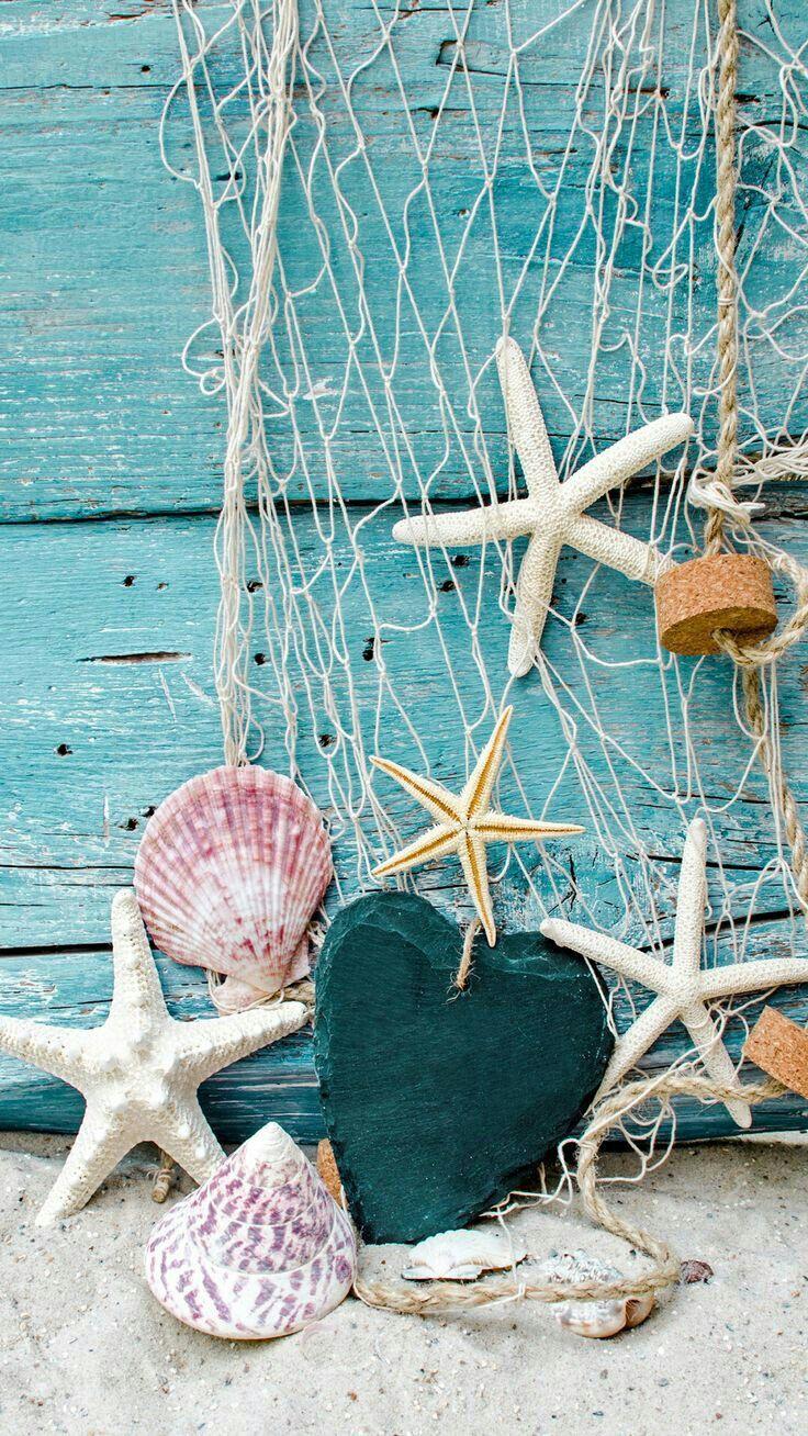 What a pretty ocean net, scallop shells and starfish
