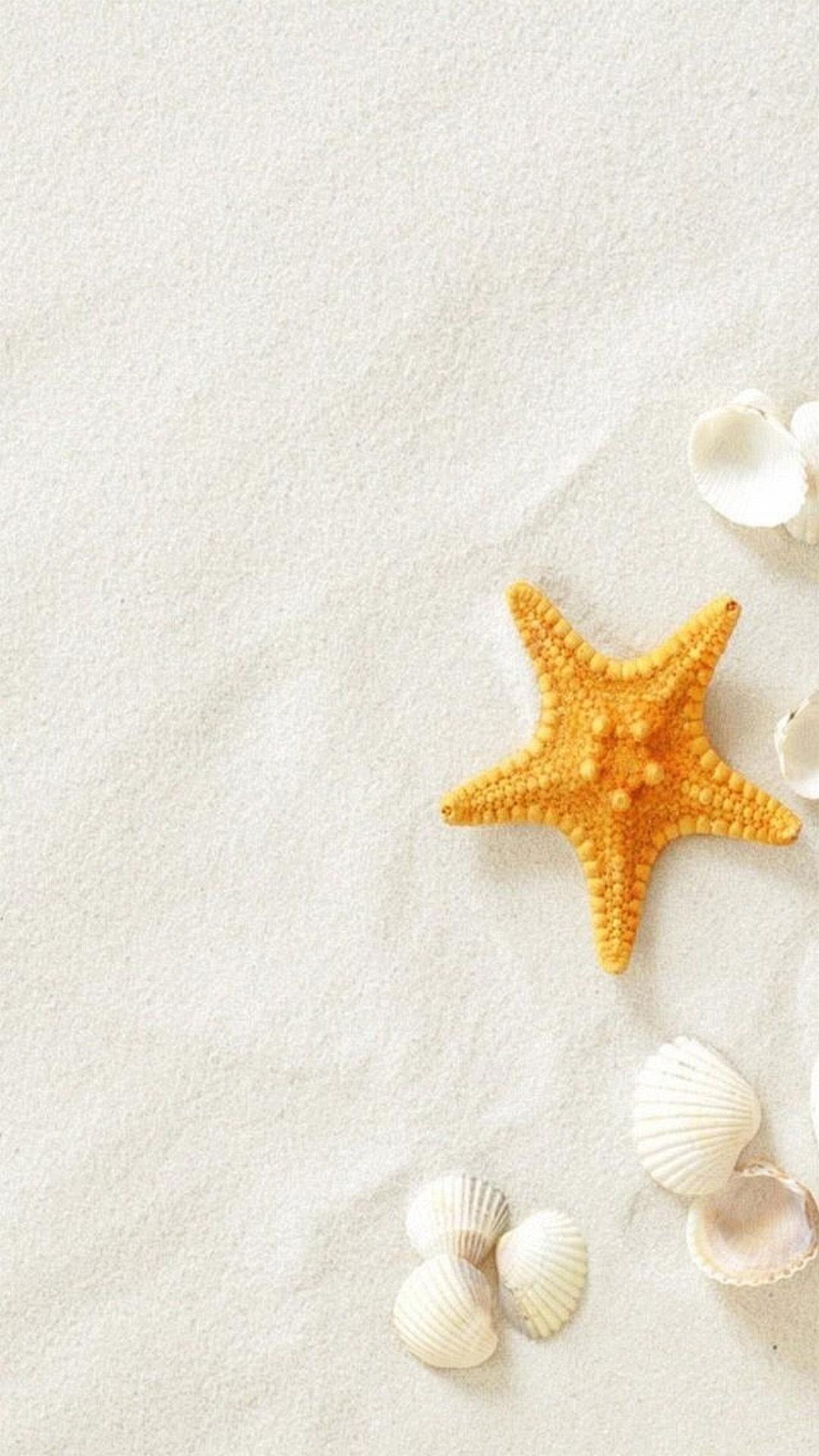 Summer Beach Seashells Sea Stars