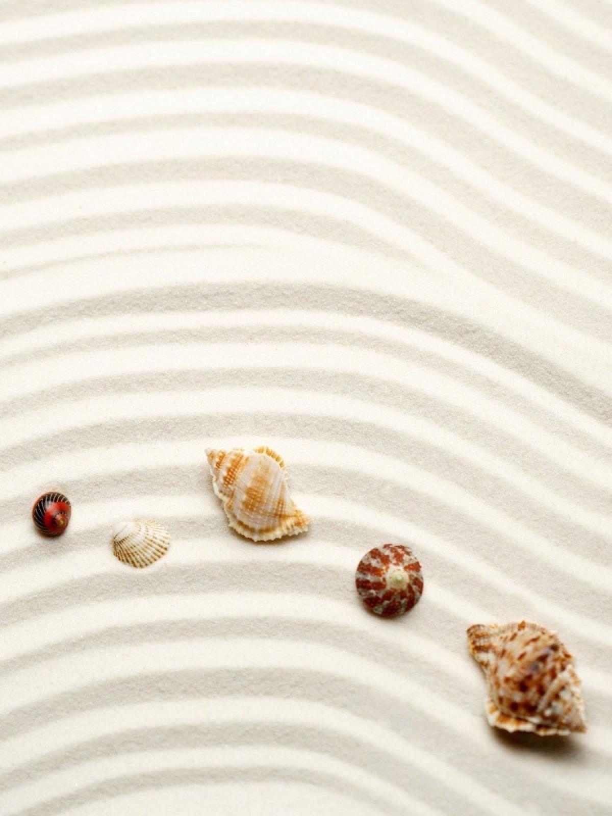 Nature Beach Sand Shells Mobile Wallpaper