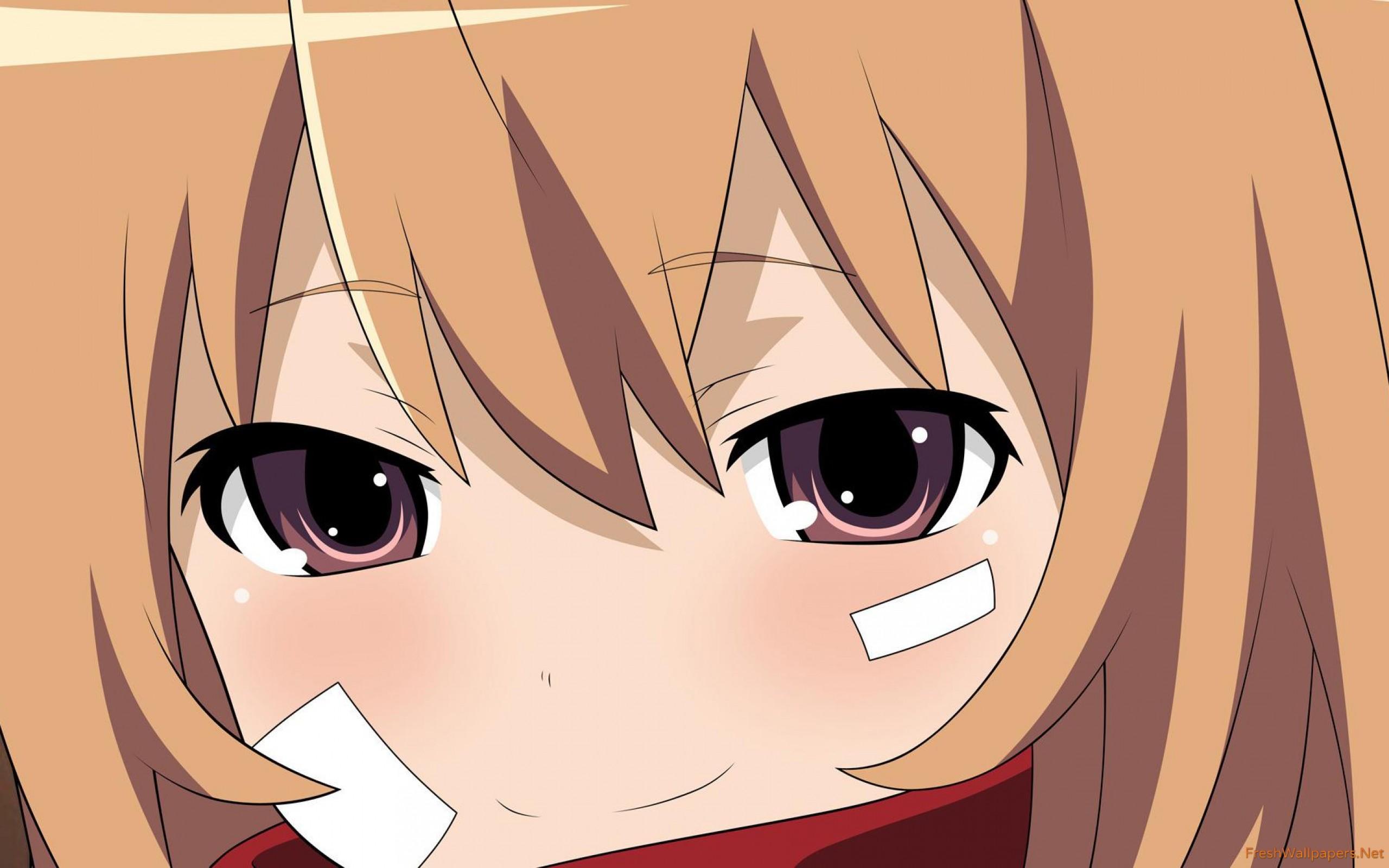 Featured image of post Taiga Aisaka Profile Picture Due to her often snapping at others in brutal ways and her short stature