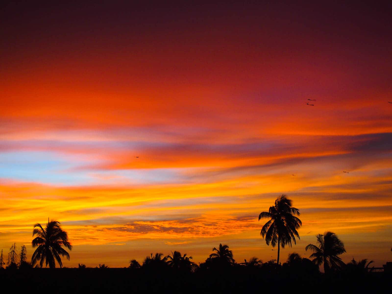 How to Travel Sri Lanka on a Budget