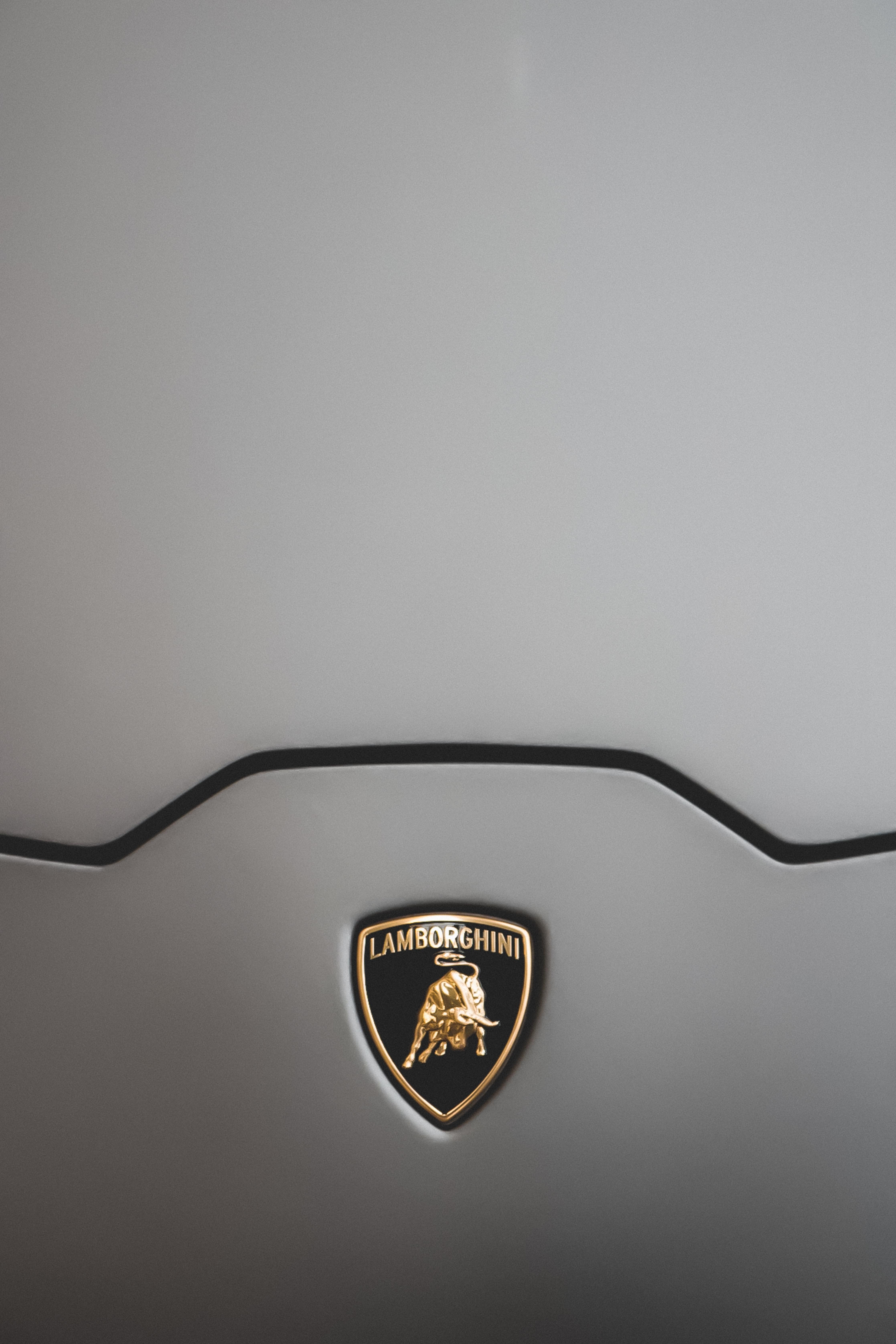 Lamborghini emblem photo