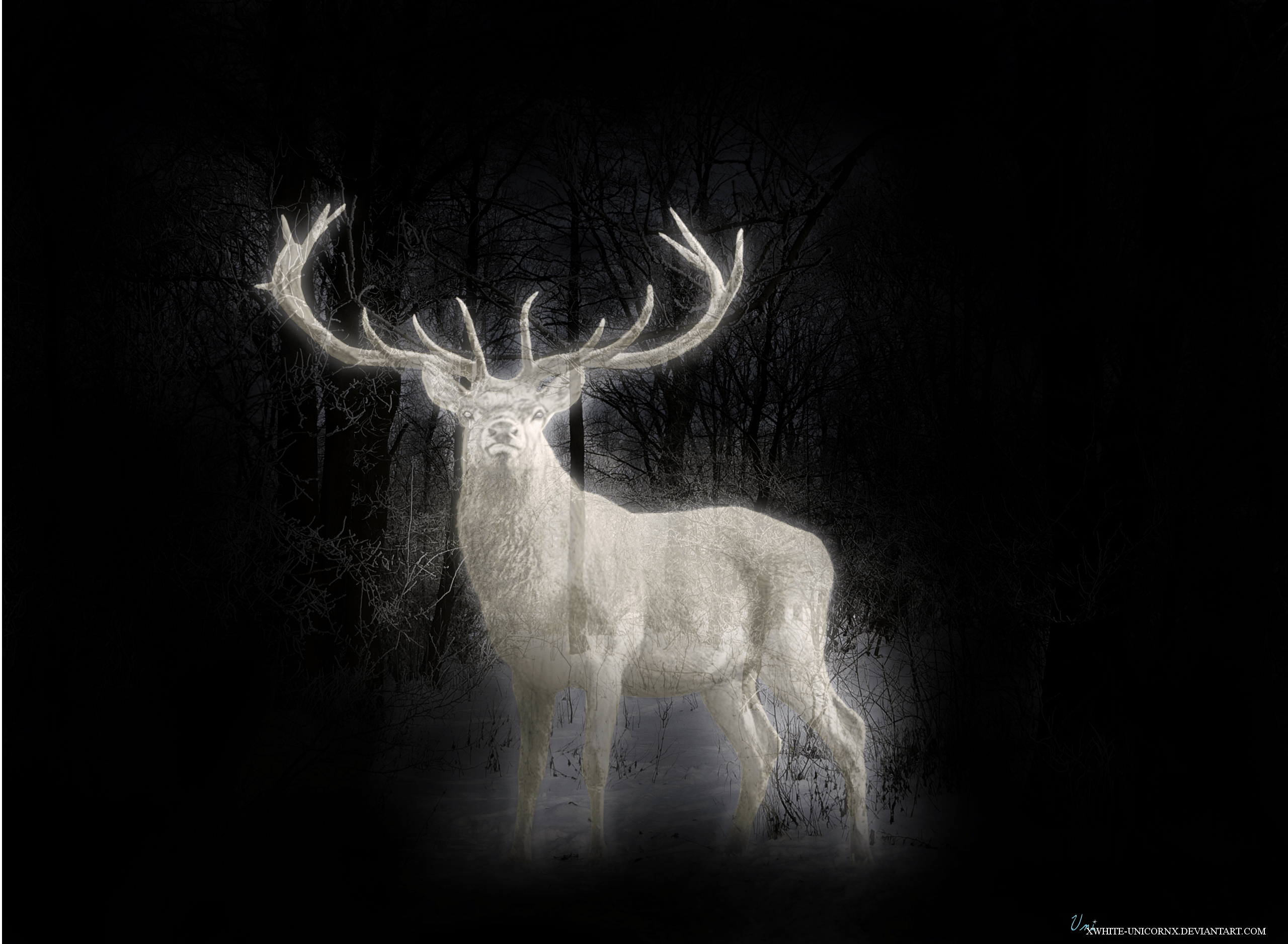 Patronus Desktop Wallpapers Wallpaper Cave