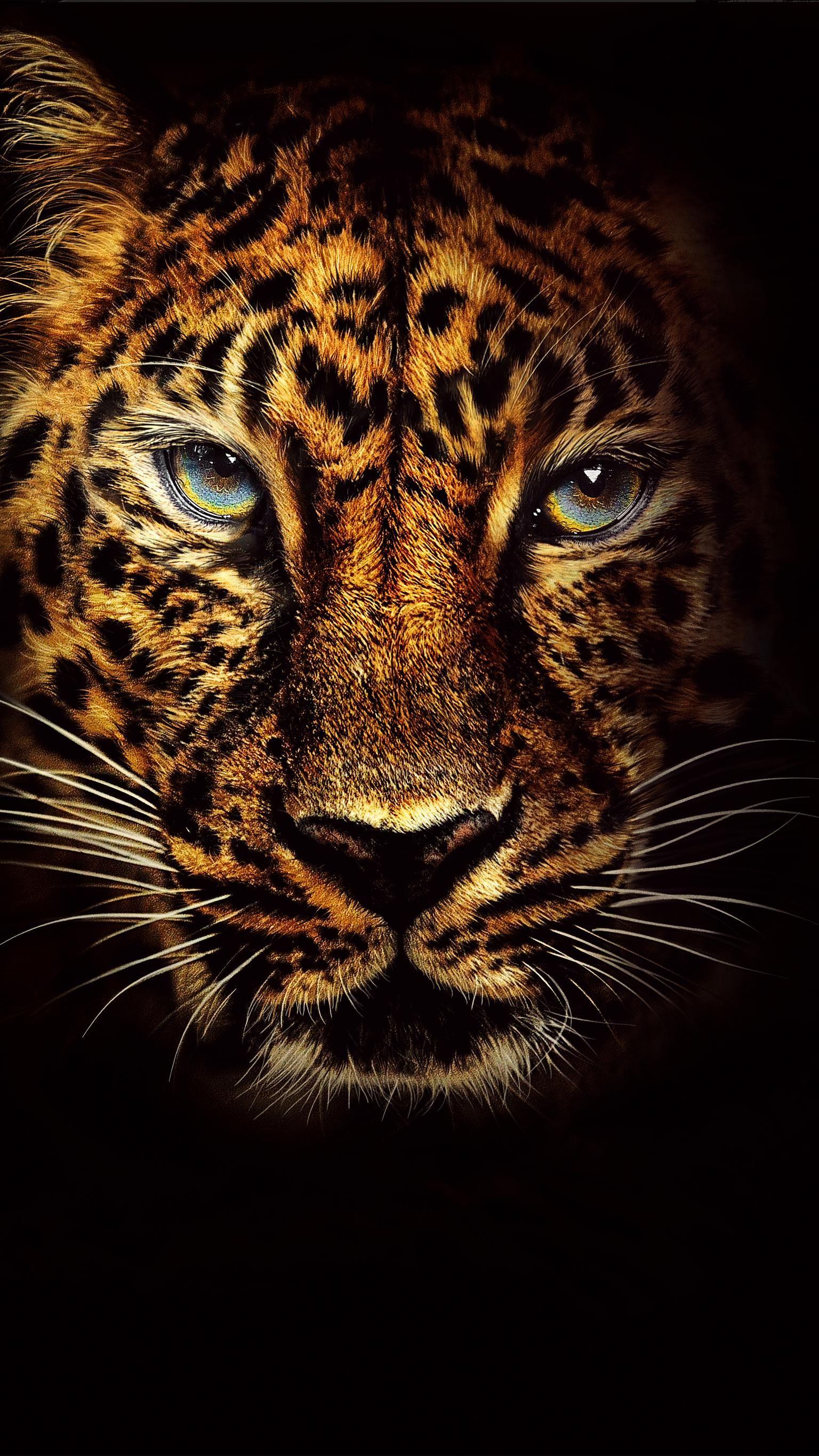 Jumanji: Welcome to the Jungle (2017) Phone Wallpaper. Jaguar