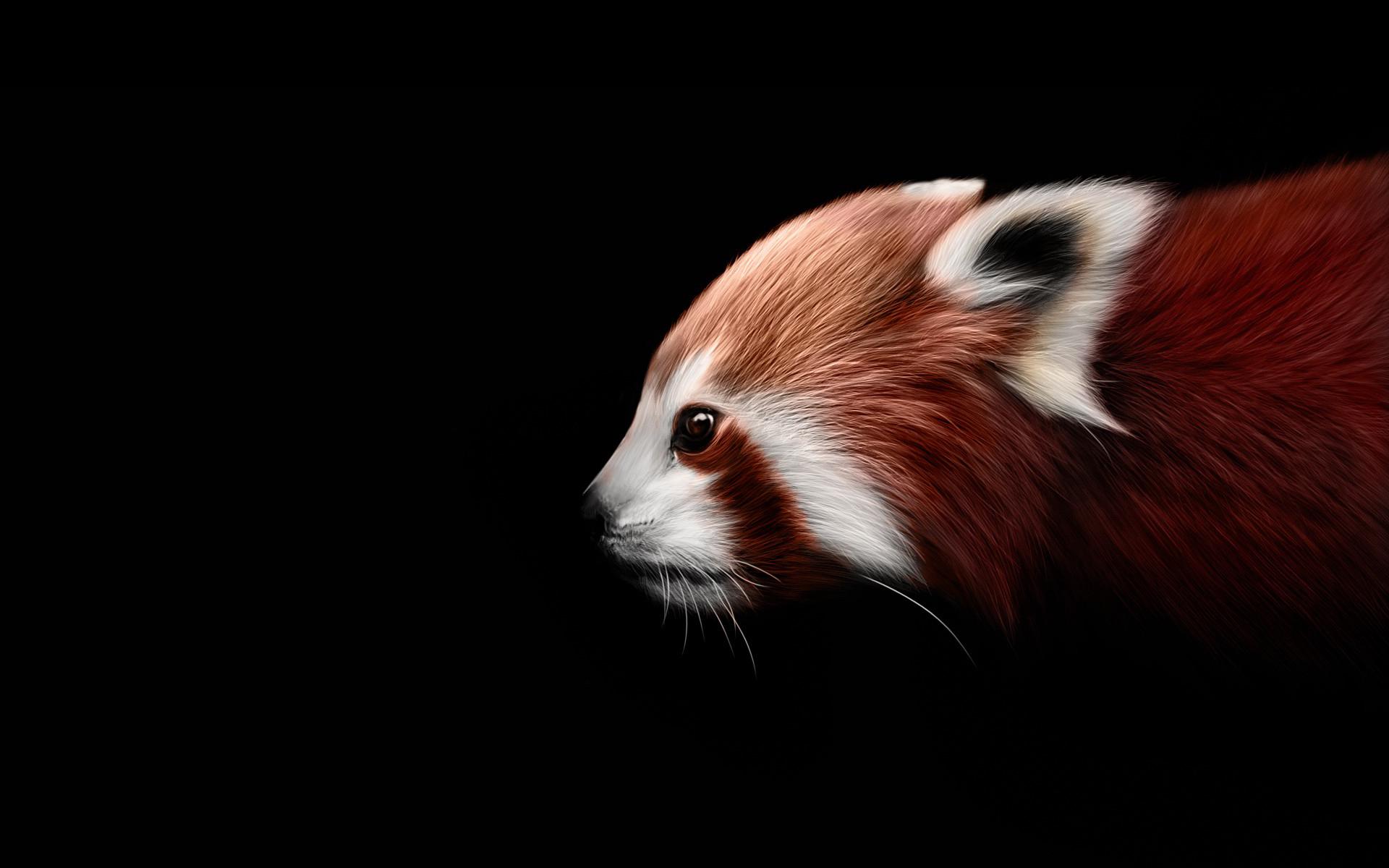 Red panda artwork wallpaperx1200