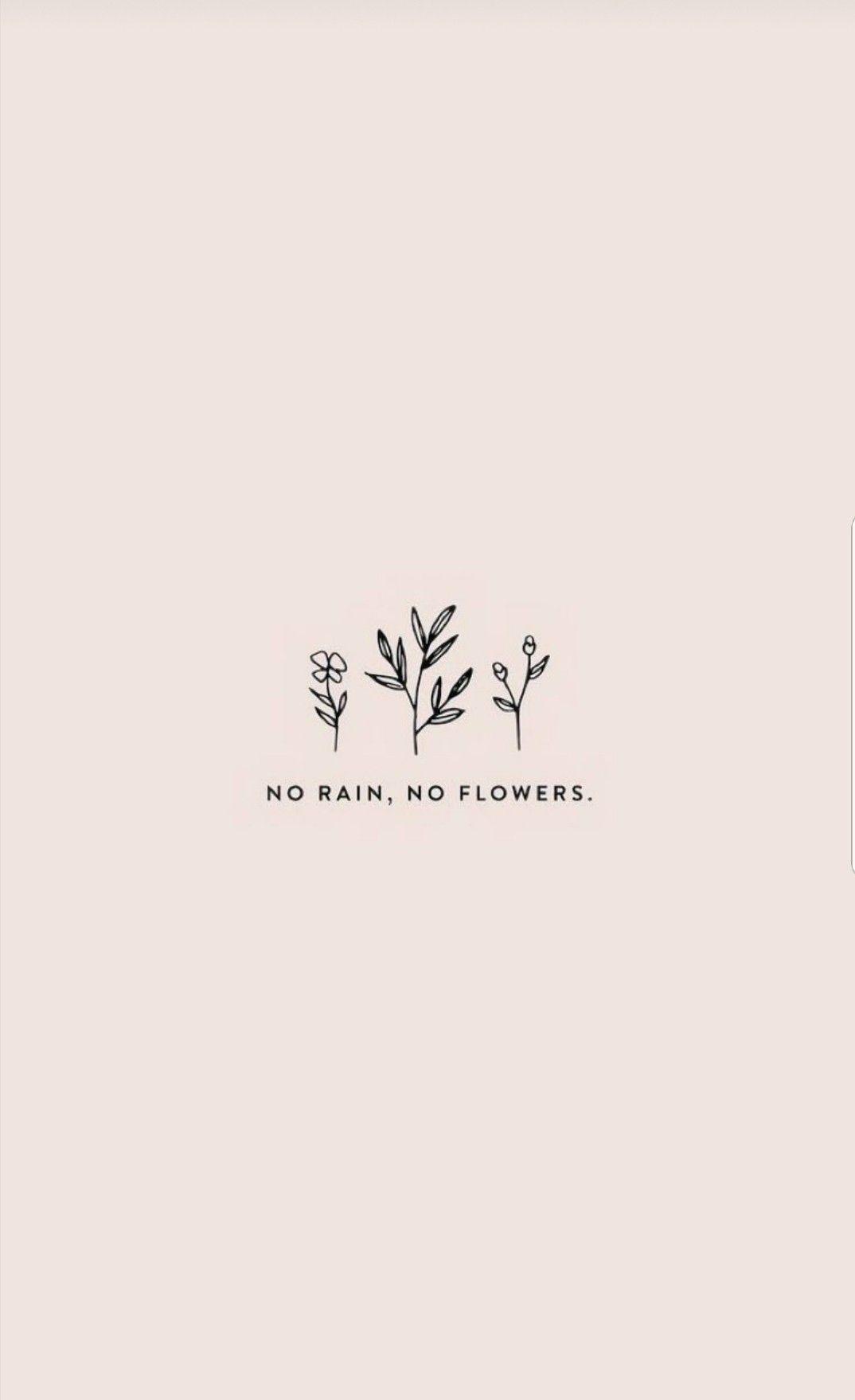 Aesthetic Minimalism Quote No Rain No Flowers Wallpaper Daily Quotes