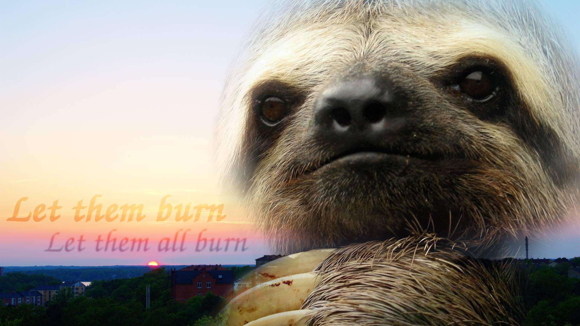 Free download Funny Sloth iPhone Wallpaper [1920x1080] x