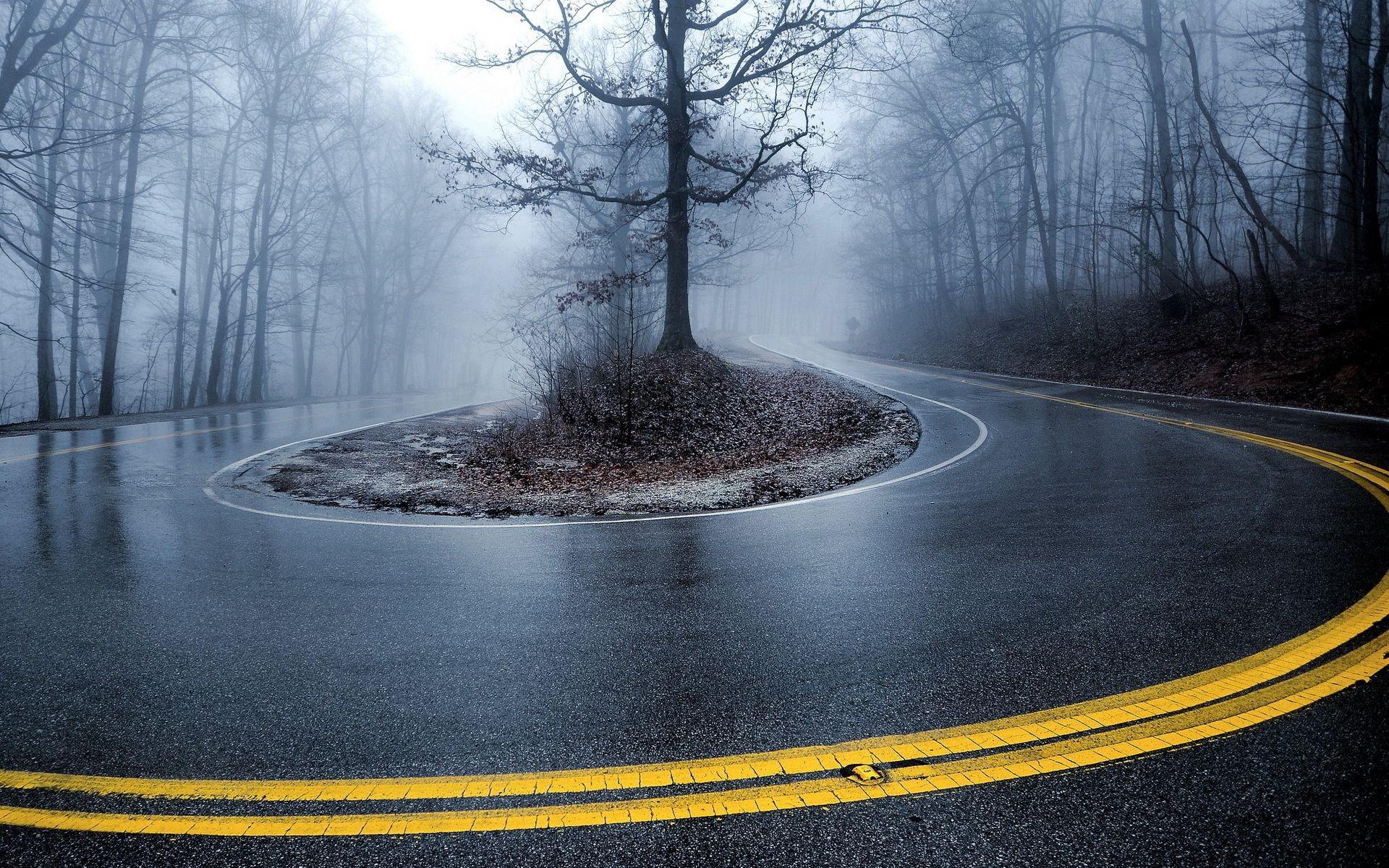 Fog scenery road