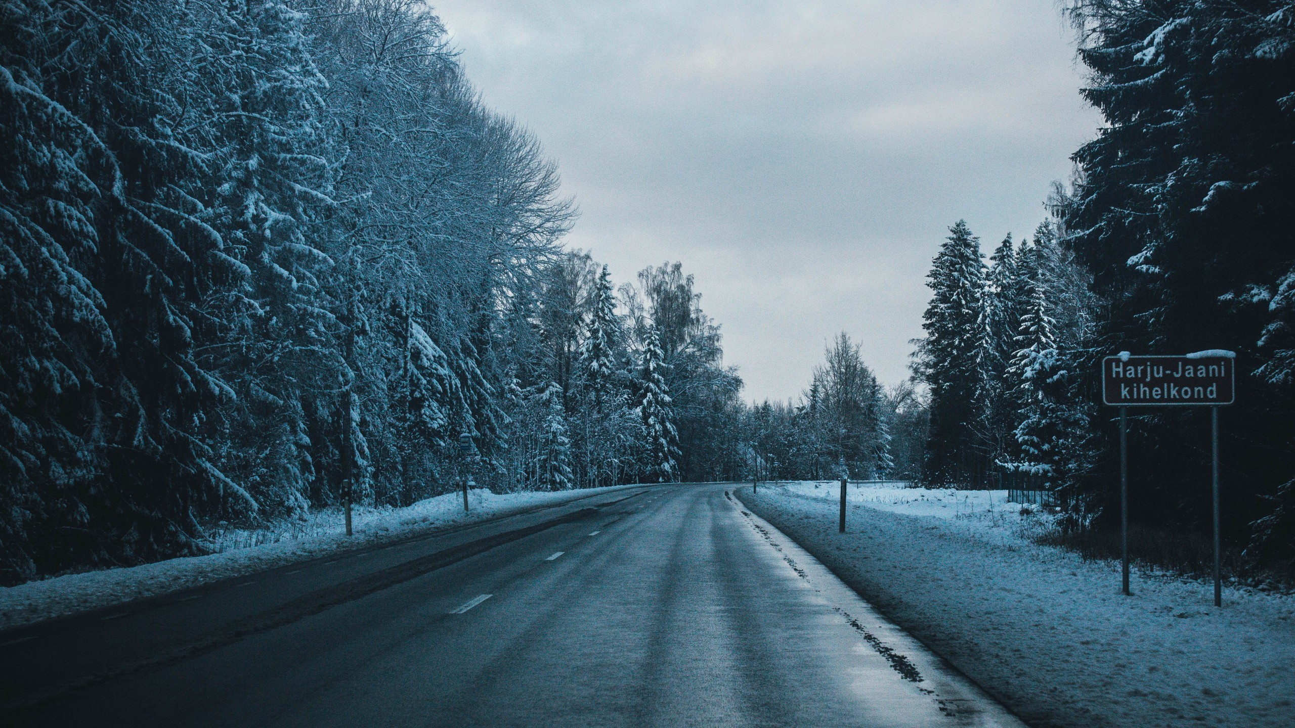 Download 2560x1440 Snow, Road, Trees, Scenic Wallpaper