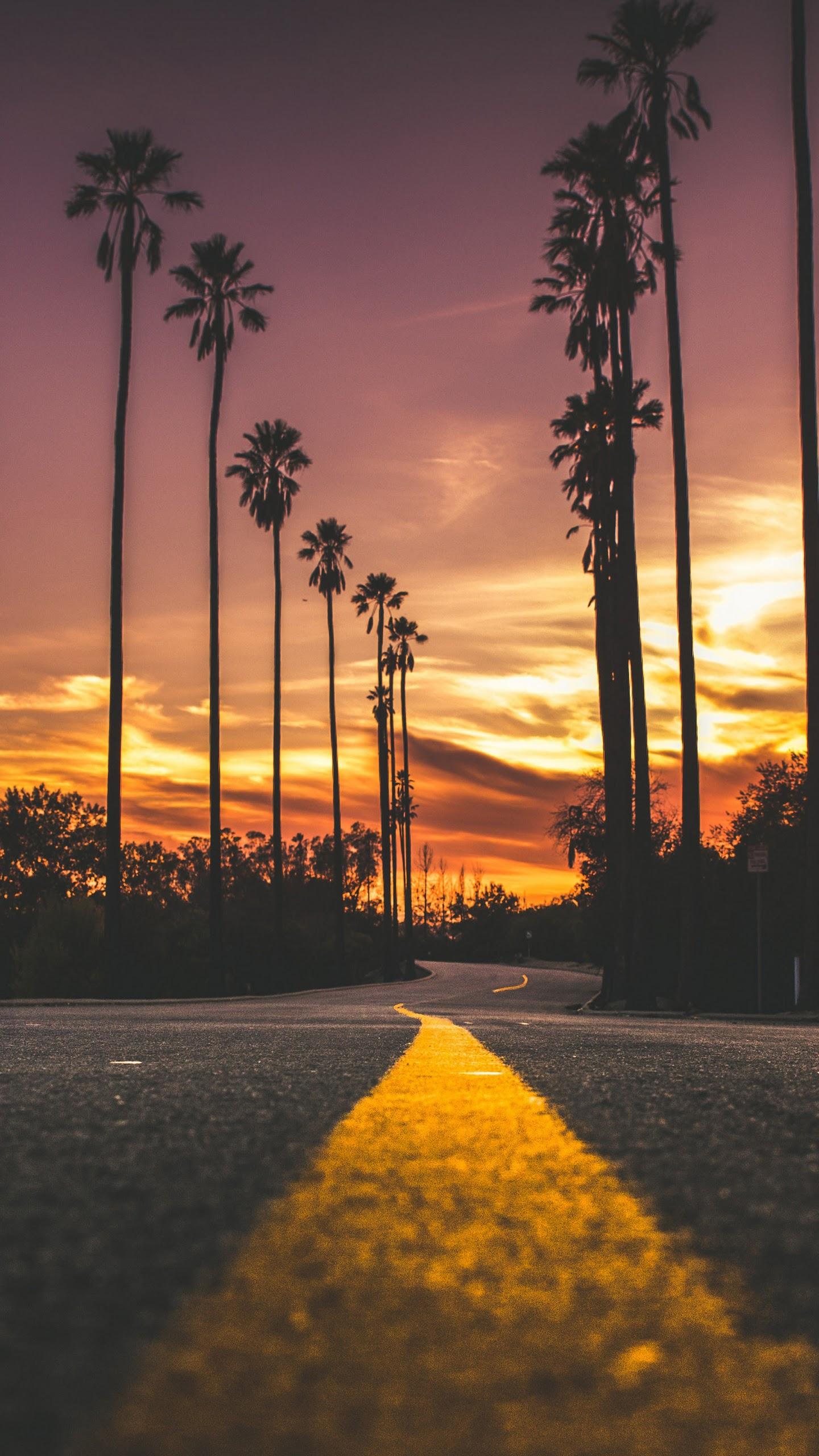 Sunset Road Landscape Scenery 4K Wallpaper