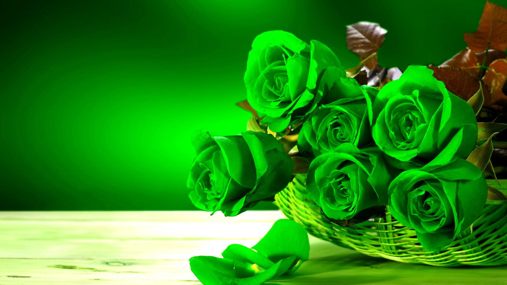 green flower wallpaper background