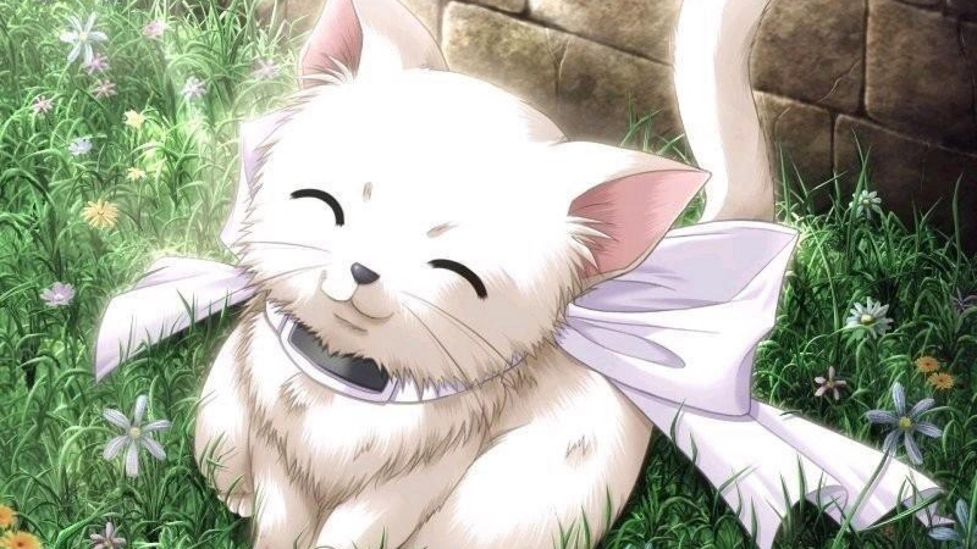 anime cute kitty