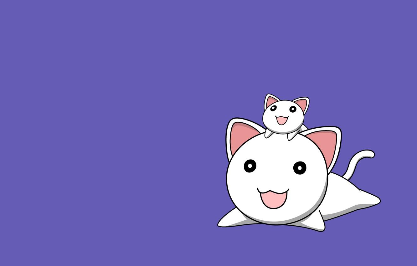 Wallpaper cat, smile, background, lilac, cats, minimalism