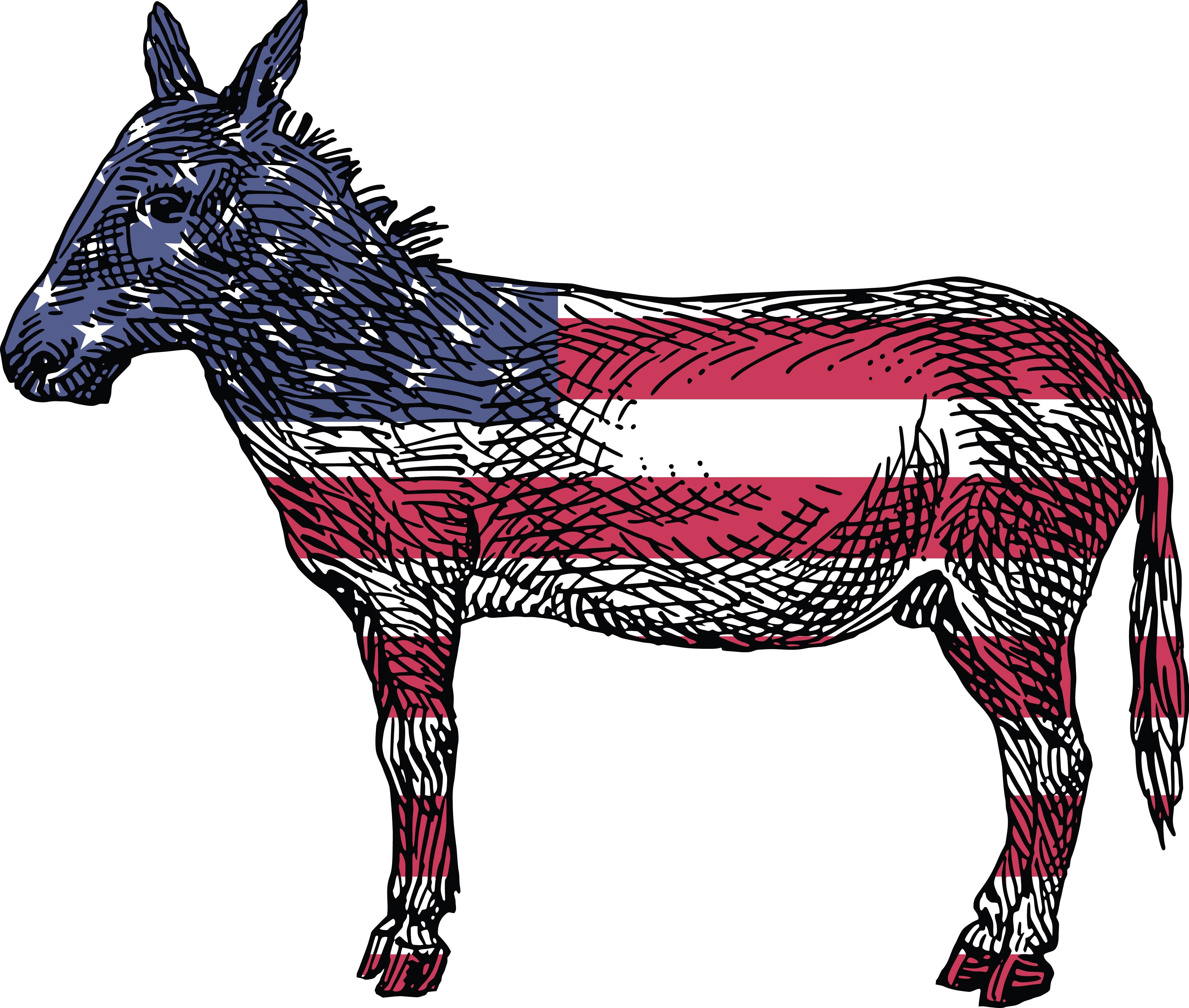 Uncomplicated Democratic Donkey Image