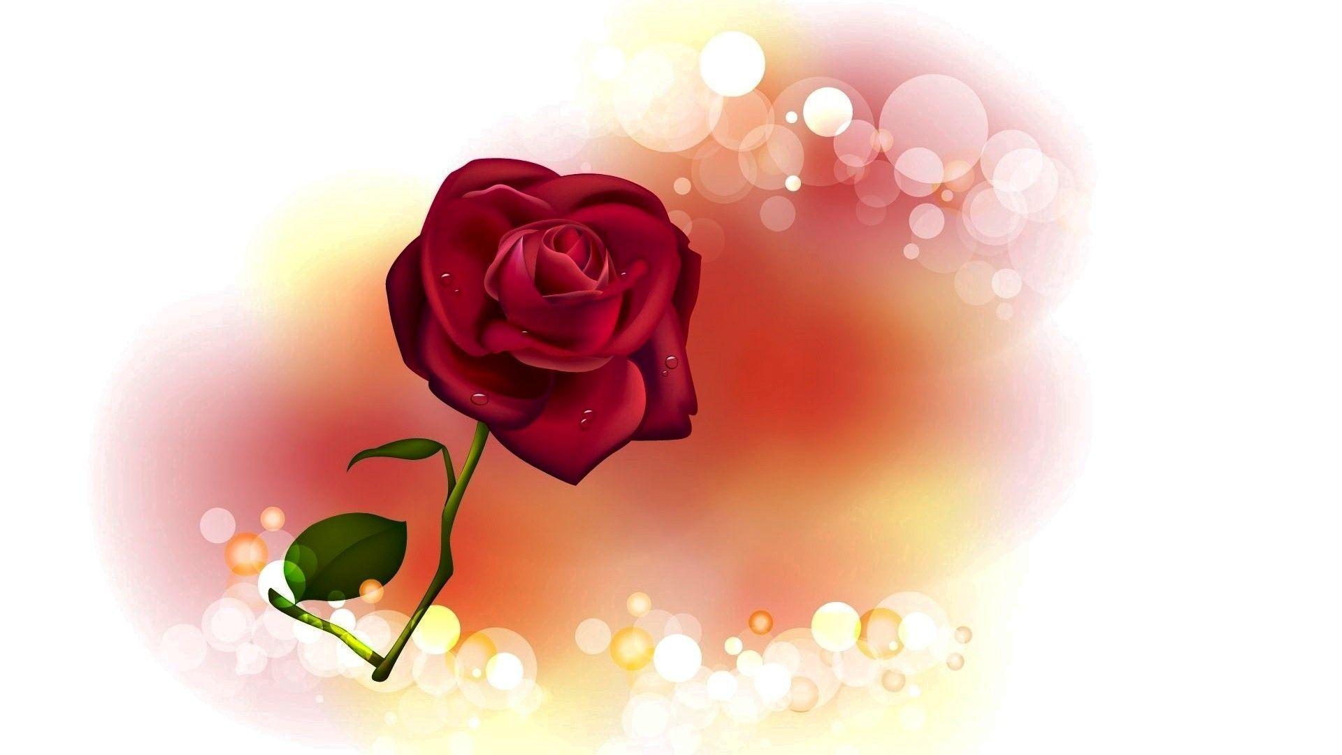 Red Rose on Valentine Day. Rose wallpaper, Flowers, Rose image
